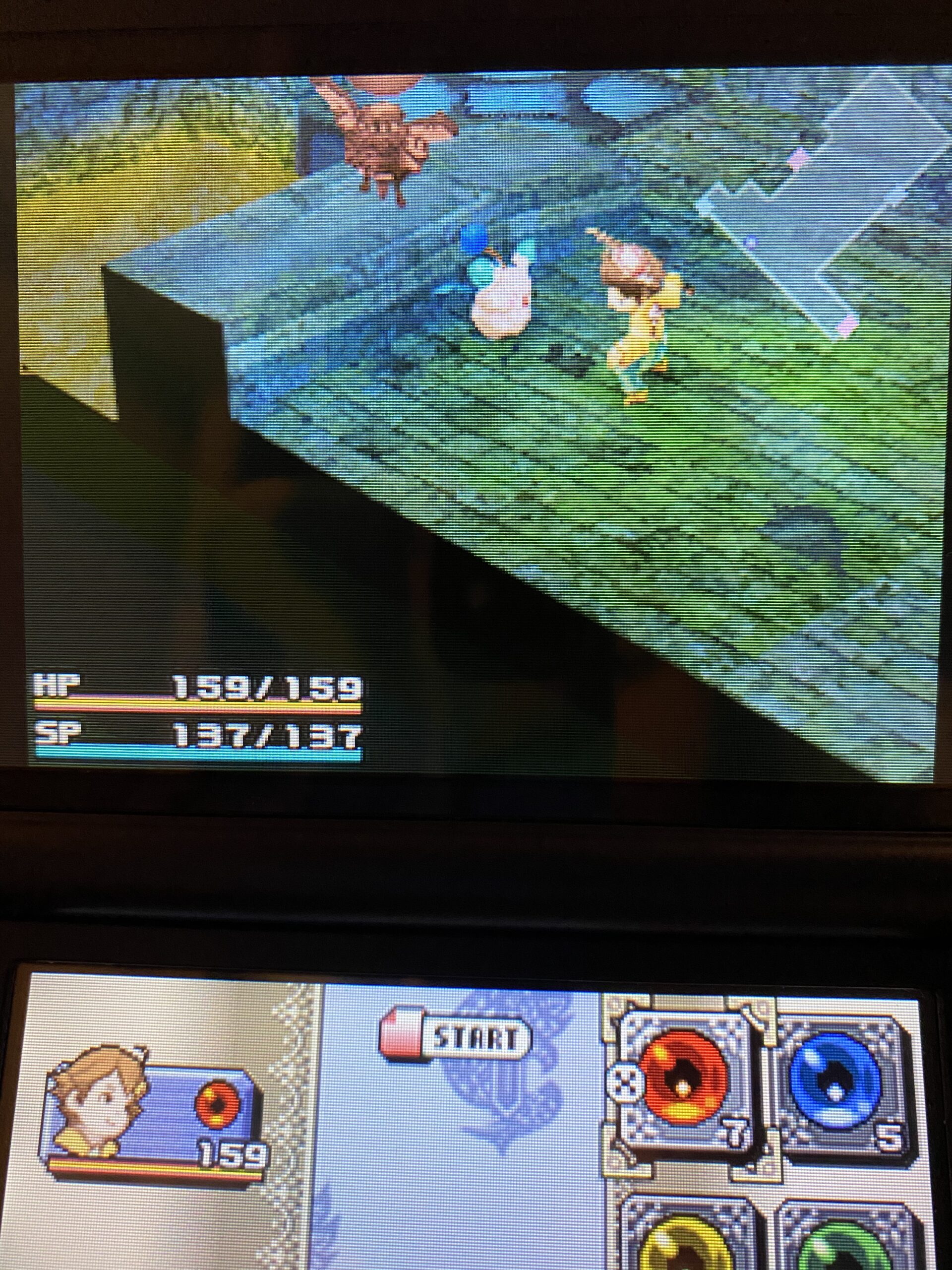 Final Fantasy Crystal Chronicles: Ring of Fates - Nintendo DS - Customer Photo 1
