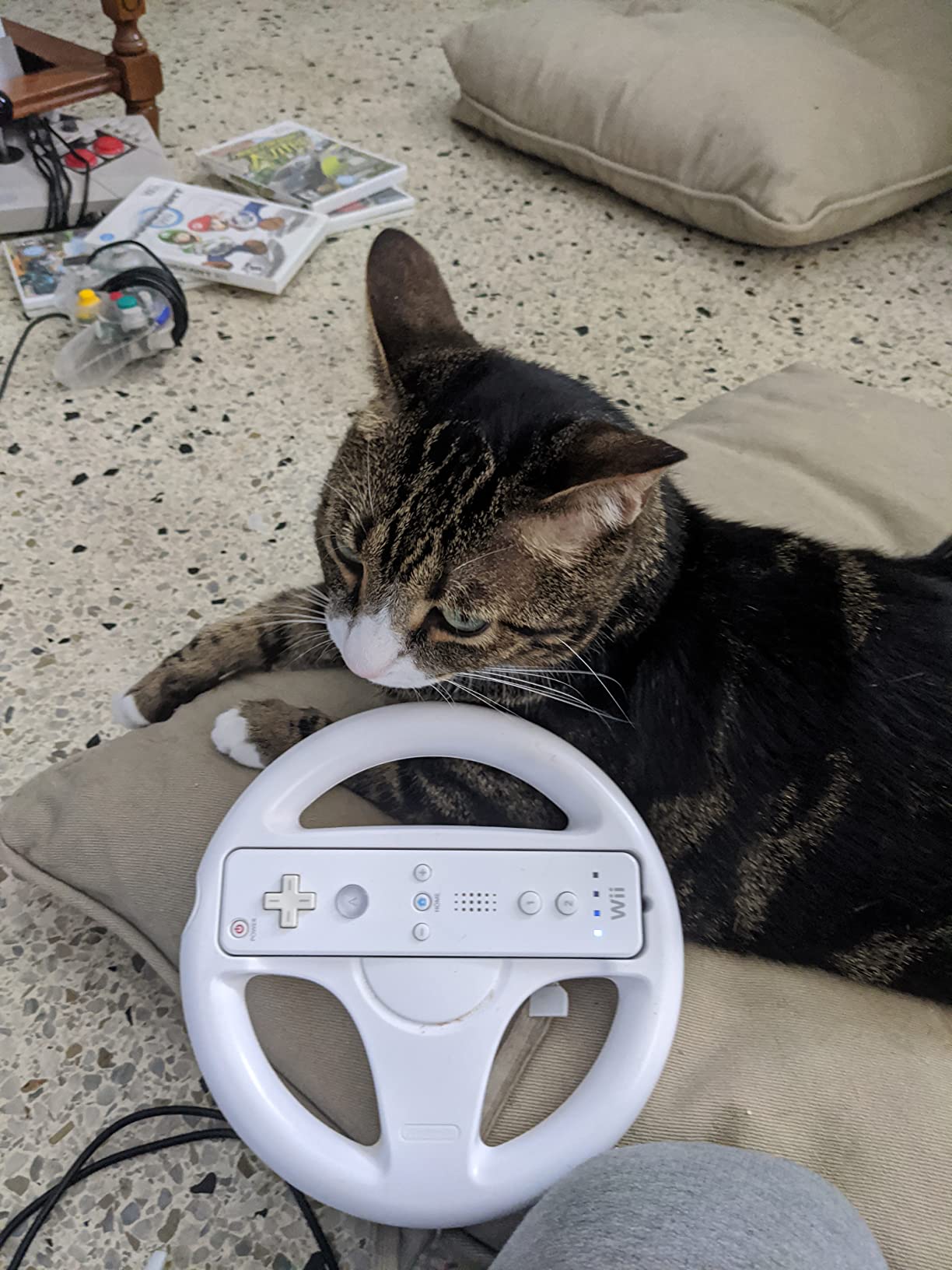 Mario Kart Wii - Customer Photo 1