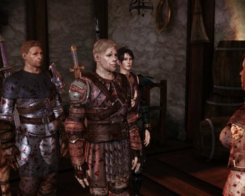 Dragon Age: Origins - PC - Customer Photo 2