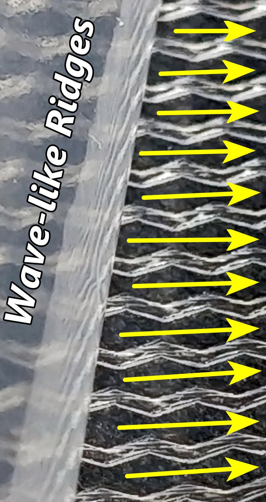 FoodSaver Custom Length Vacuum Sealer Bags Multipack, 5 Count Rolls for Airtight Food Storage and Sous Vide - Compatible with FoodSaver, 8 (2 Pack) and 11 (3 Pack) - Customer Photo 2