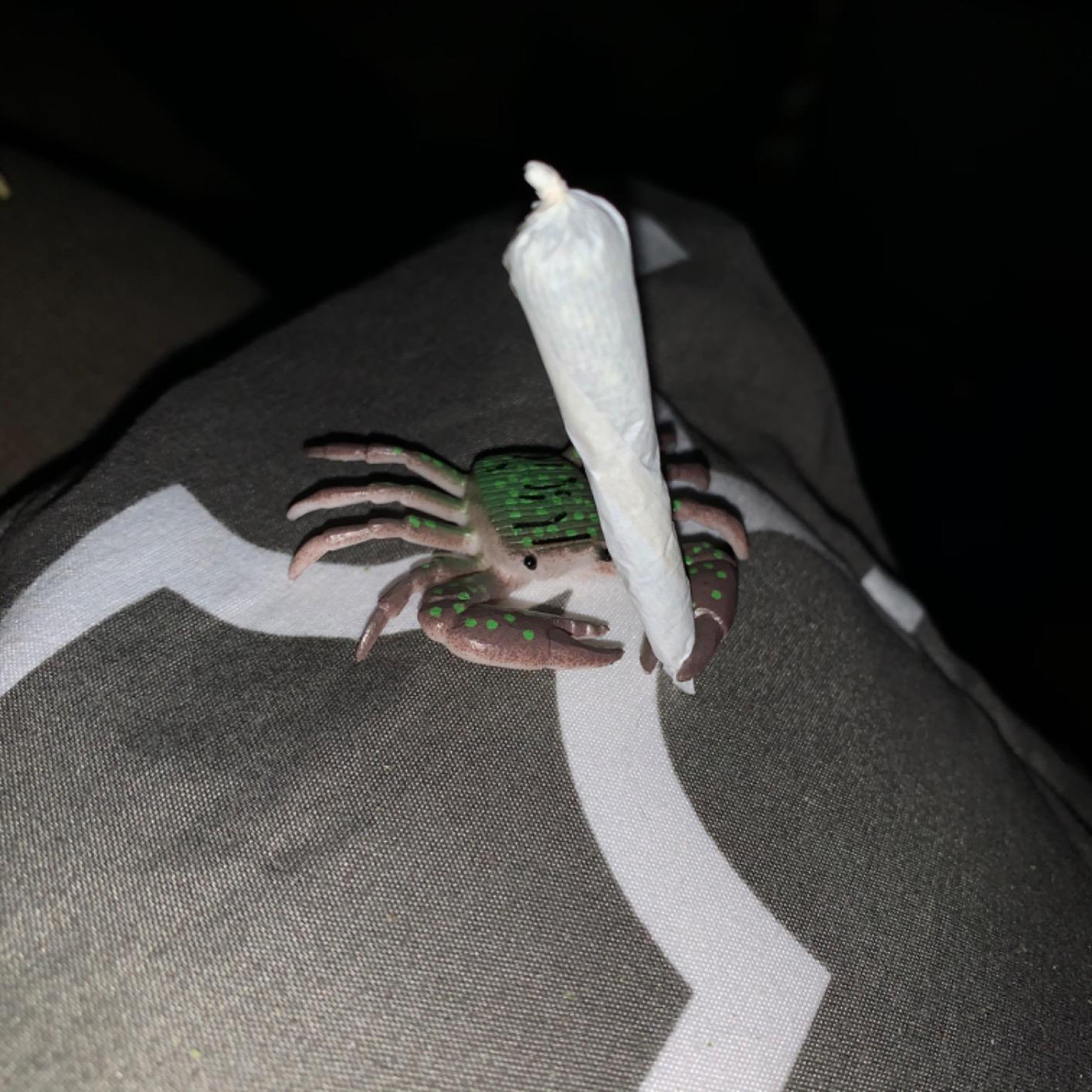 US Toy Plastic Toy Crabs Action Figure (1 Dozen) - Customer Photo 2