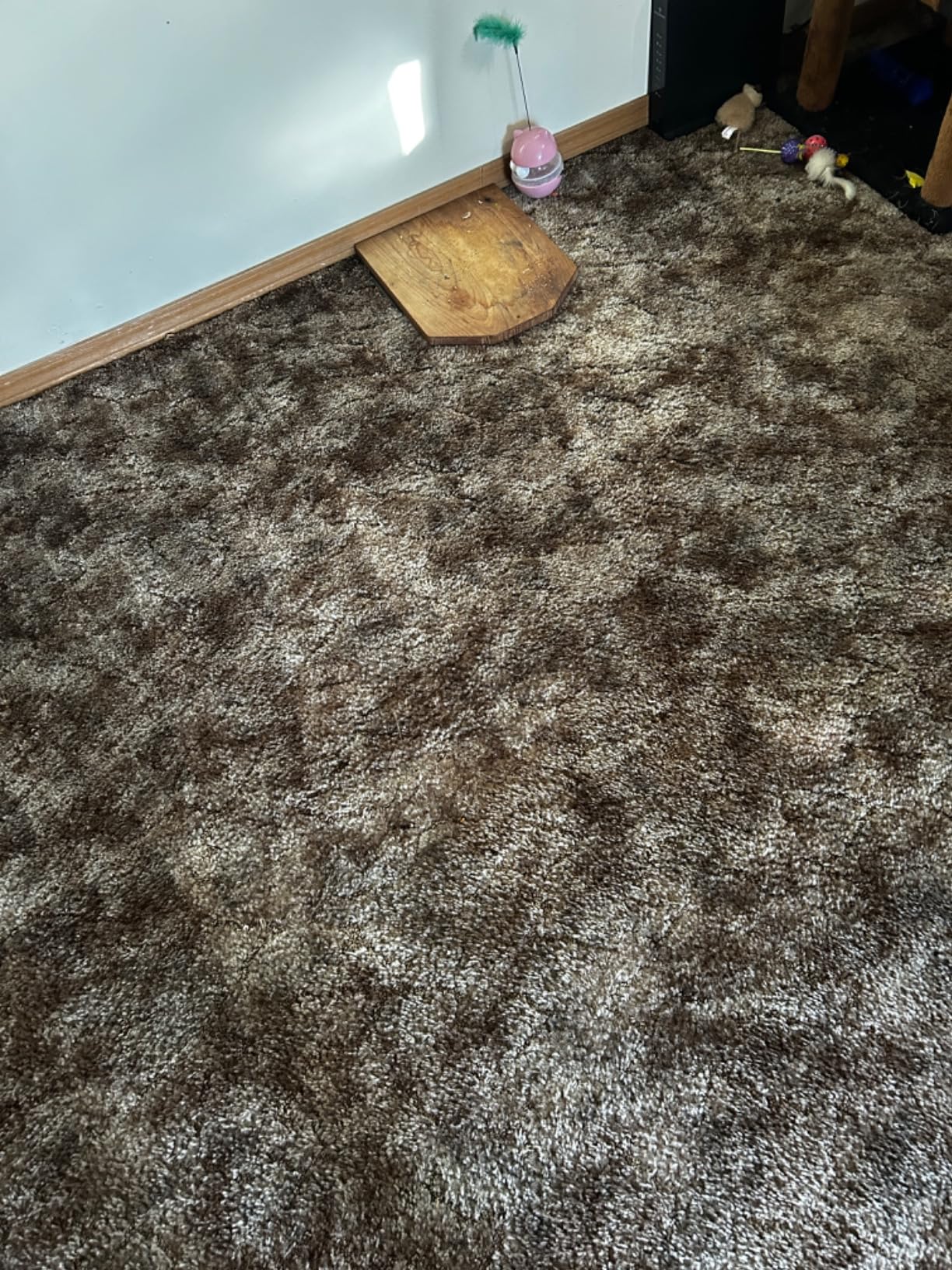 Shark NV352 Navigator Lift Away Upright Vacuum, Hepa Filter, Anti-Allergen Technology, Swivel Steering, Ideal for Carpet, Stairs, & Bare Floors, with Wide Upholstery & Crevice Tools, Lavender Customer Review Shark NV352 Navigator Lift Away Upright Vacuum, Hepa Filter, Anti-Allergen Technology, Swivel Steering, Ideal for Carpet, Stairs, & Bare Floors, with Wide Upholstery & Crevice Tools, Lavender - Customer Photo 2