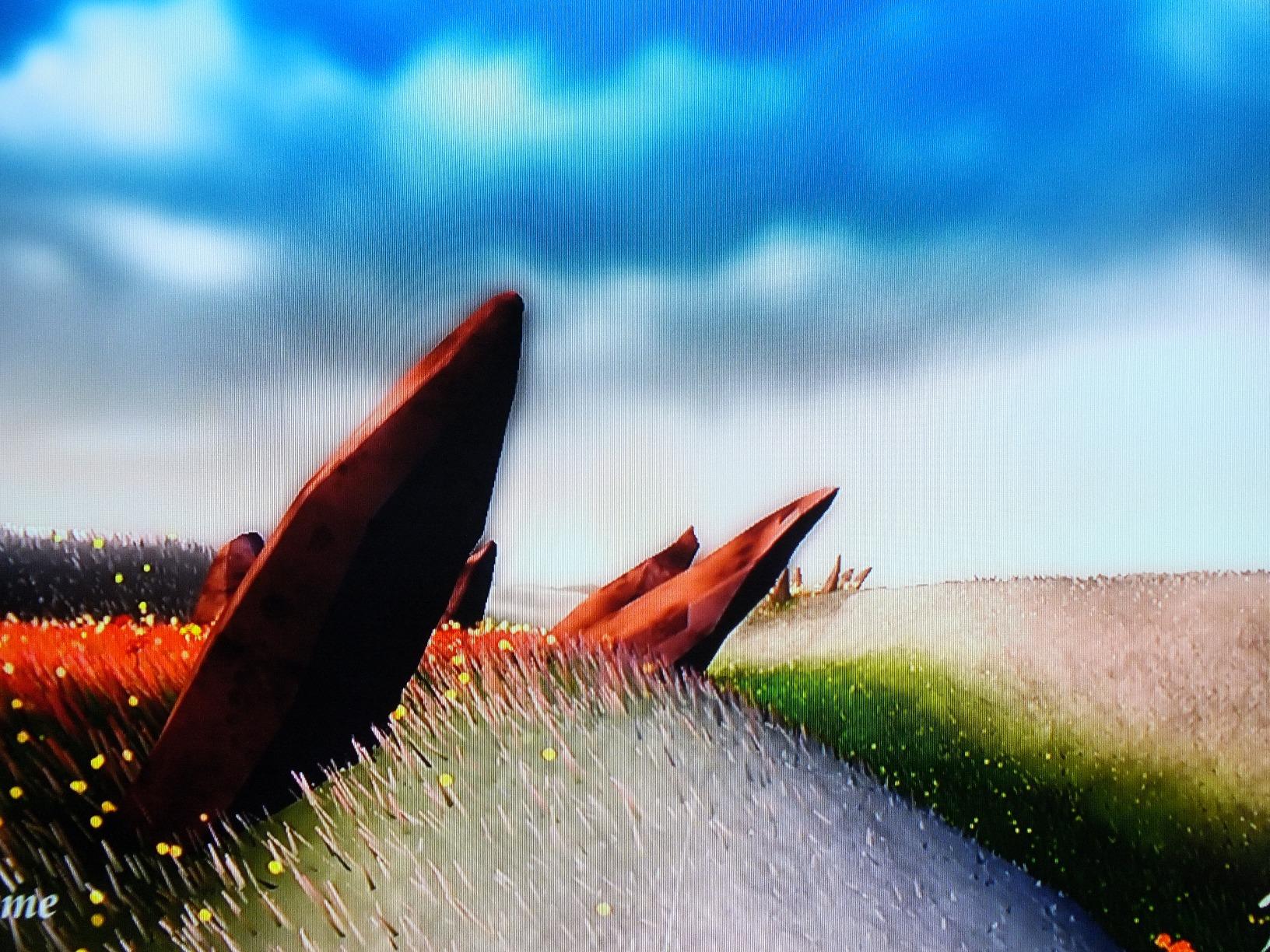 PS3 Journey Collection - Customer Photo 2