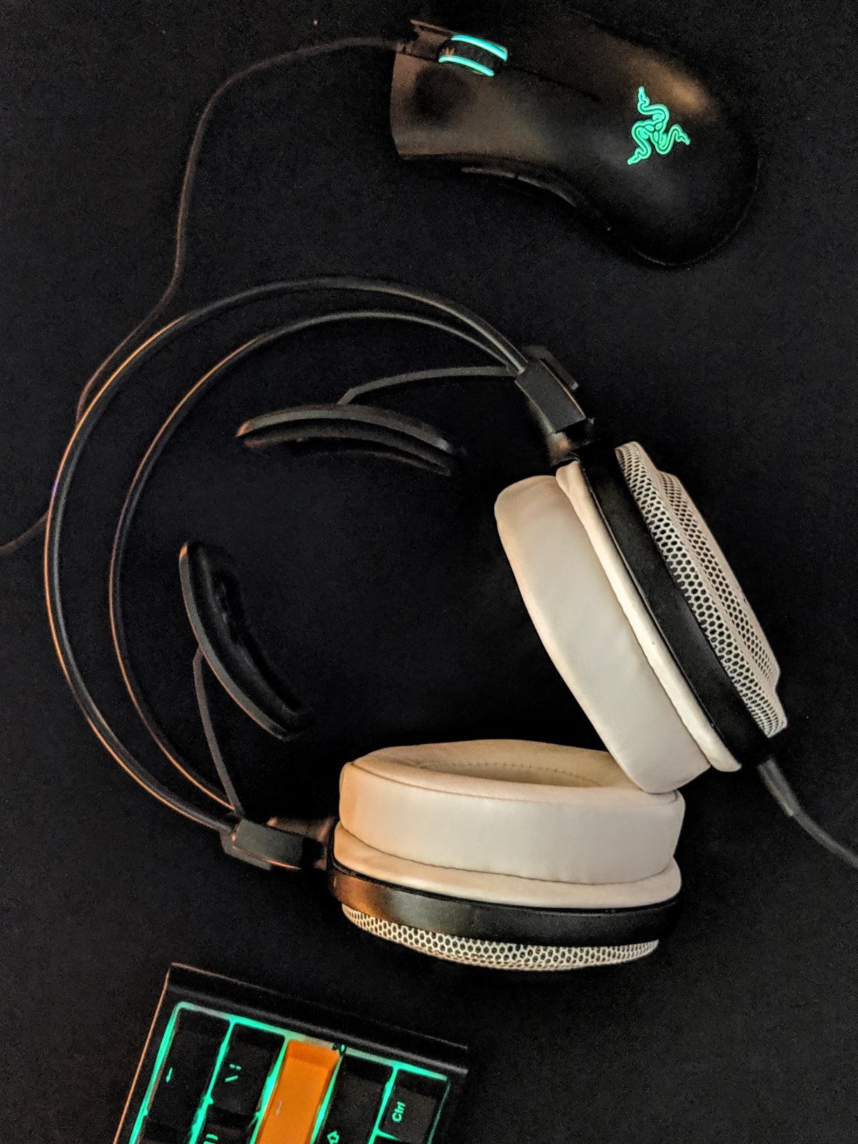 Audio-Technica ATH-AD700X Audiophile Open-Air Headphones Black - Customer Photo 1