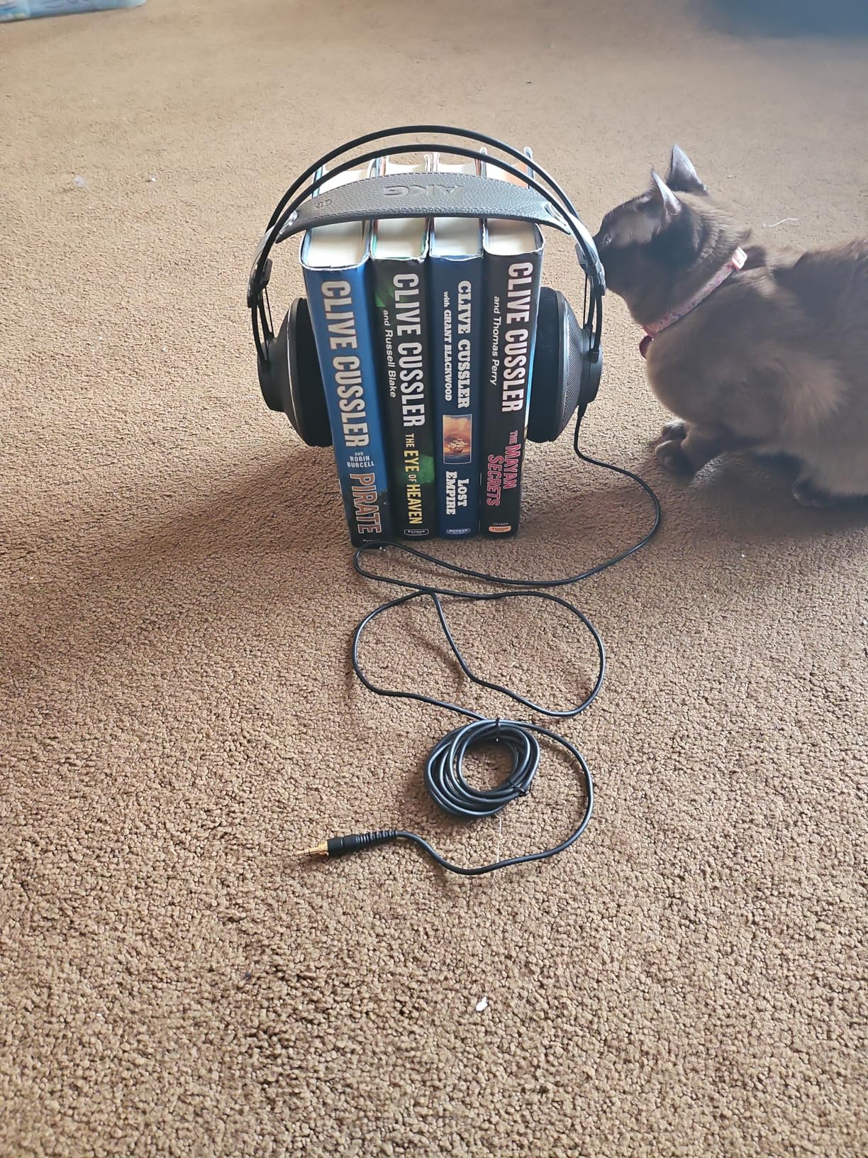 AKG Pro Audio K612 PRO Over-Ear, Open-Back, 120 Ohm, Premium Reference Studio Headphones. Wired for professional recording, monitoring, hi-fi listening. Light weight, maximum comfort. Black. - Customer Photo 1