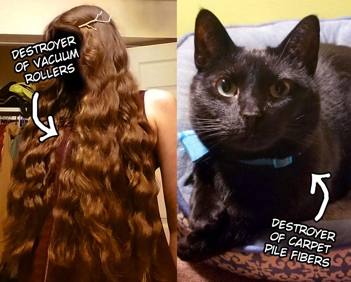 Shark Rocket Ultra-Light Corded Bagless Vacuum for Carpet and Hard Floor Cleaning with Swivel Steering (HV301), Gray/Orange customer photo 1