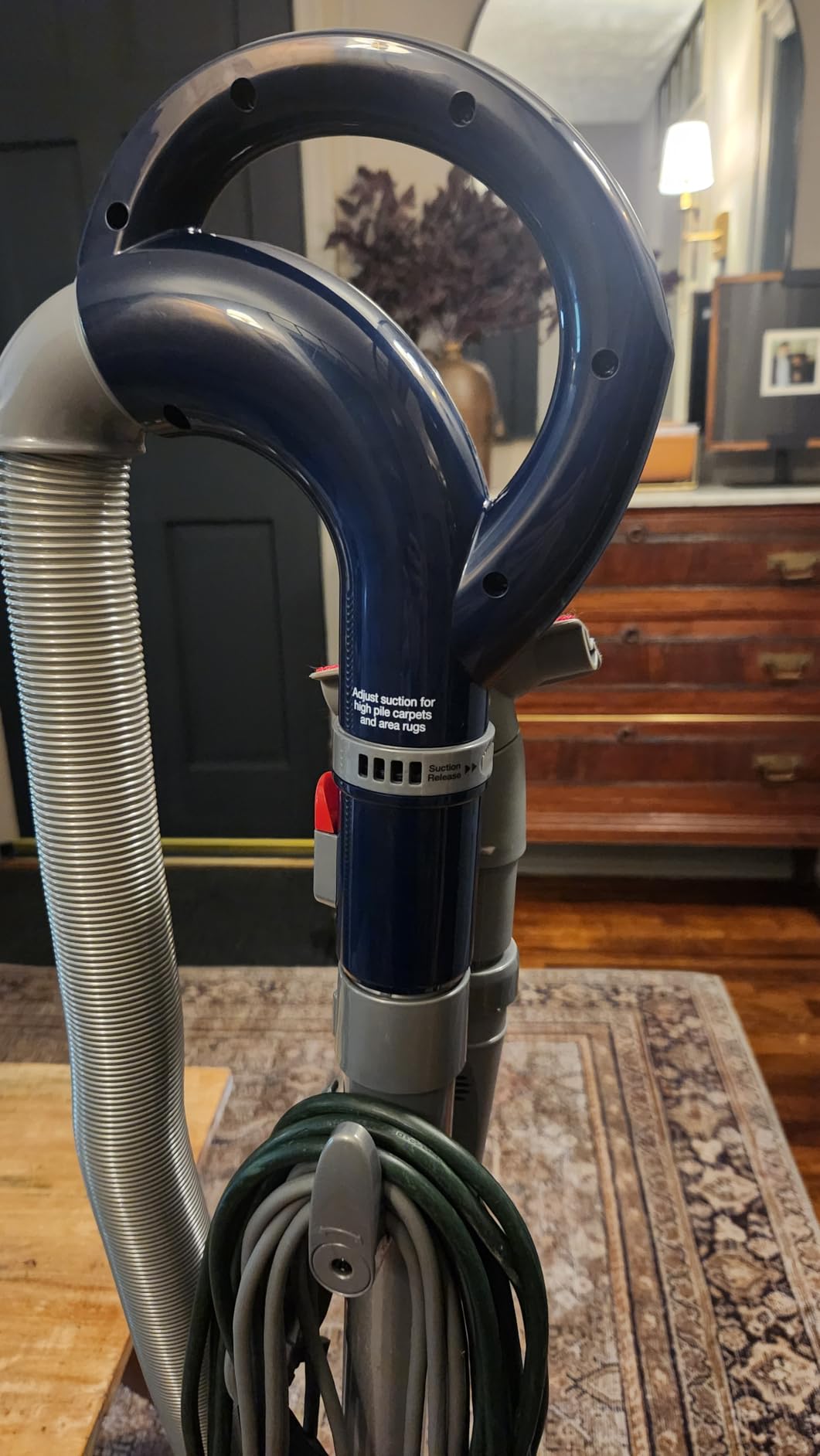 Shark Upright Vacuum, Navigator Lift-Away Deluxe with Large Dust Cup Capacity, HEPA Filter, Swivel Steering, Upholstery Tool & Crevice Tool, Blue, NV360 - Customer Photo 3