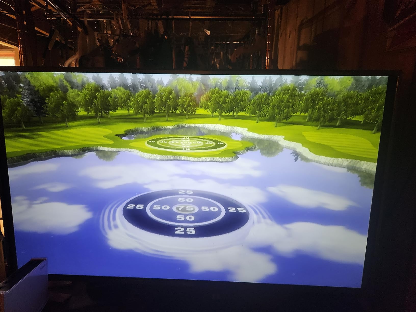 Wii Sports by Nintendo (Renewed) - Customer Photo 4