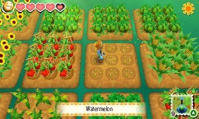 Harvest Moon Skytree Village - Nintendo 3DS - Customer Photo 3
