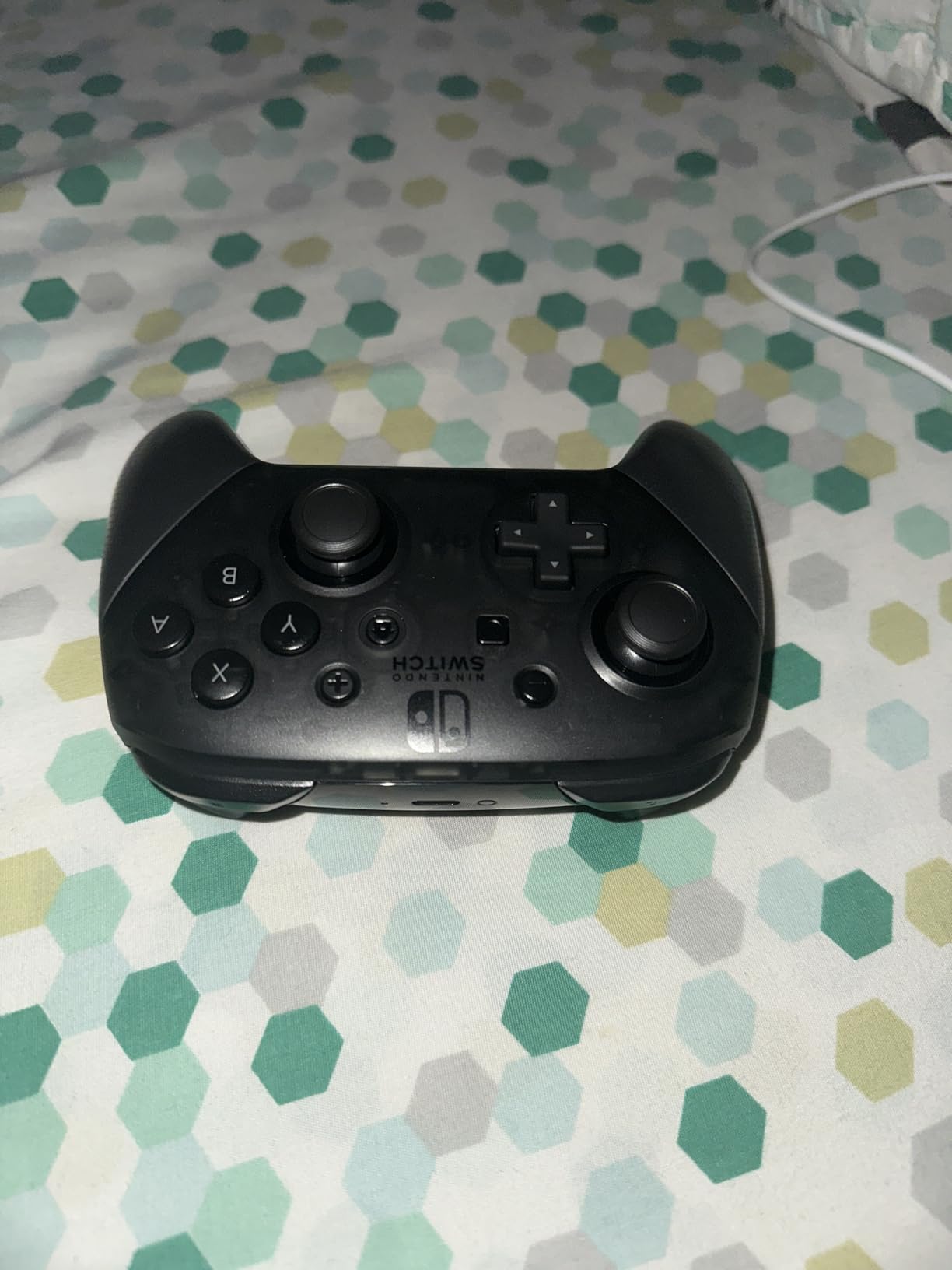 Nintendo Switch Pro Controller customer photo 1