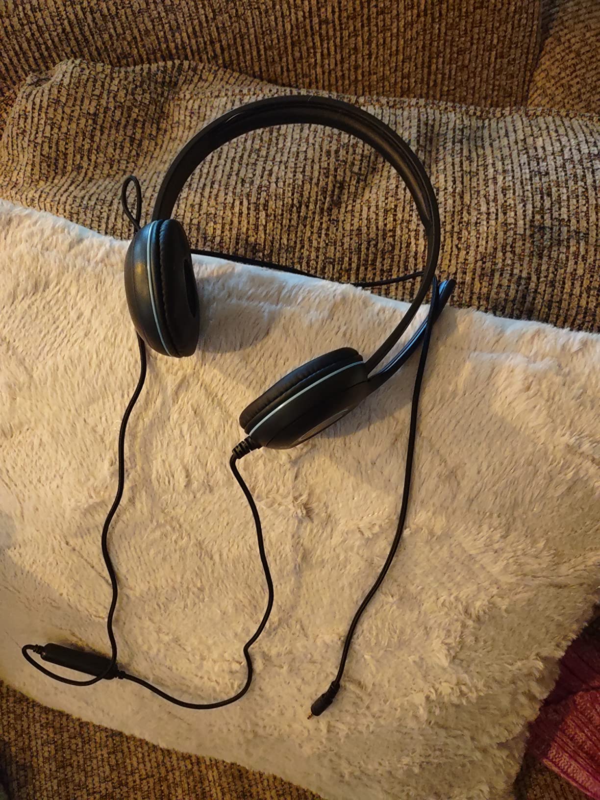 Cyber Acoustics 3.5mm Stereo Headset (AC-5002) – Durable, Crisp, and Clear Communication in Classrooms and at Home - Customer Photo 1