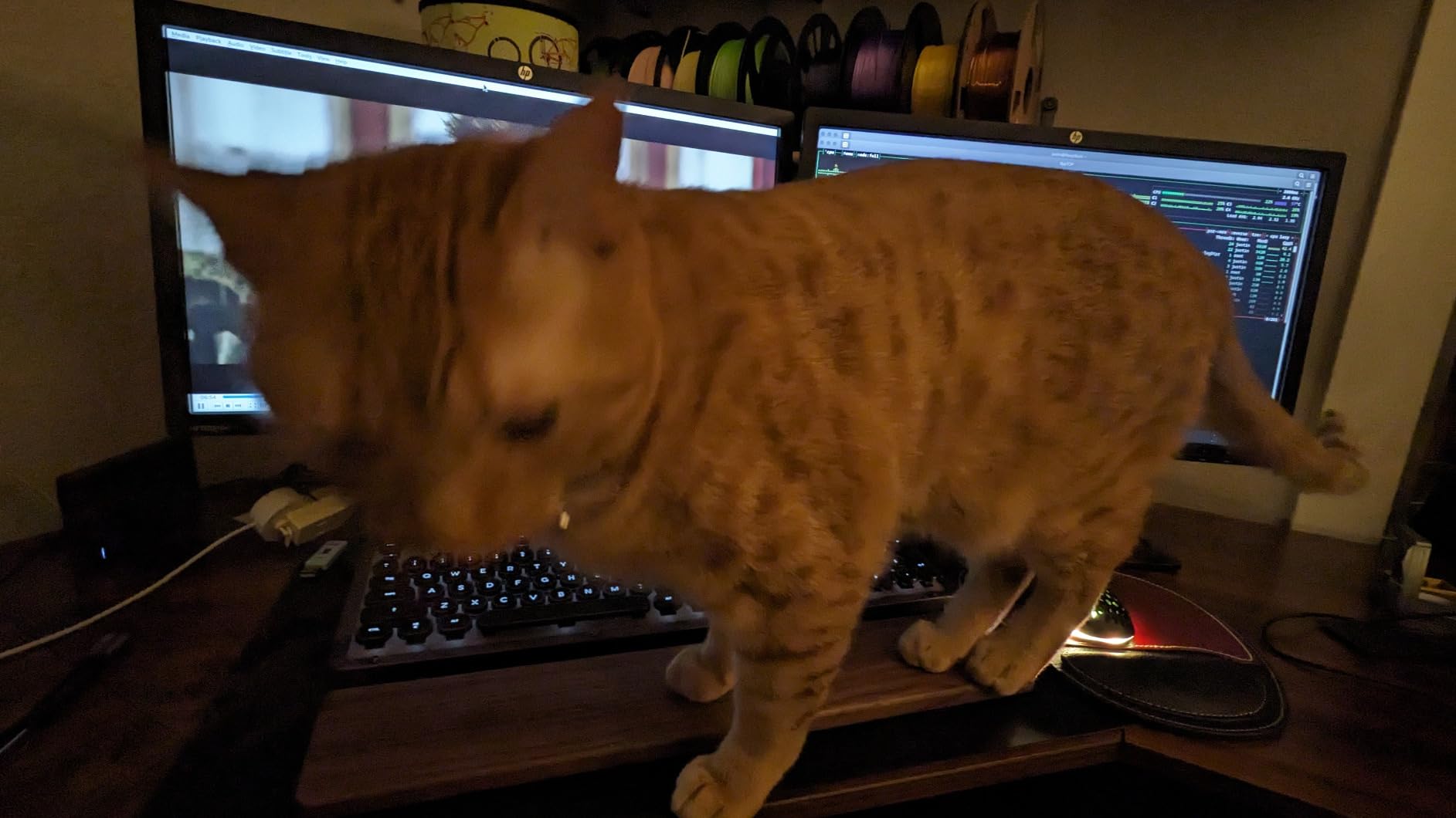 Azio Retro Classic USB (Posh) - USB Wired Leather Vintage Backlit Mechanical Keyboard for PC/Mac (MK-RETRO-L-02-US) - Customer Photo 1