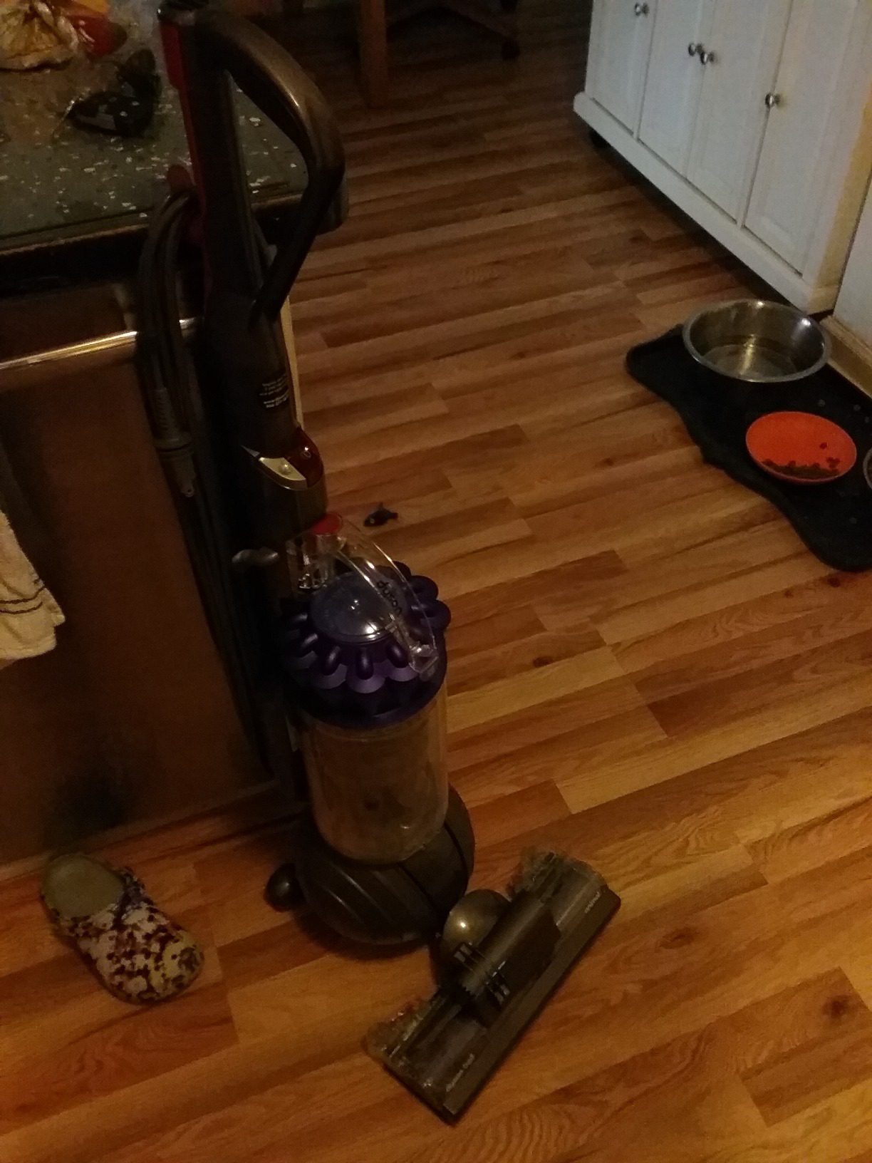 Dyson Ball Animal 3 - Customer Photo 1