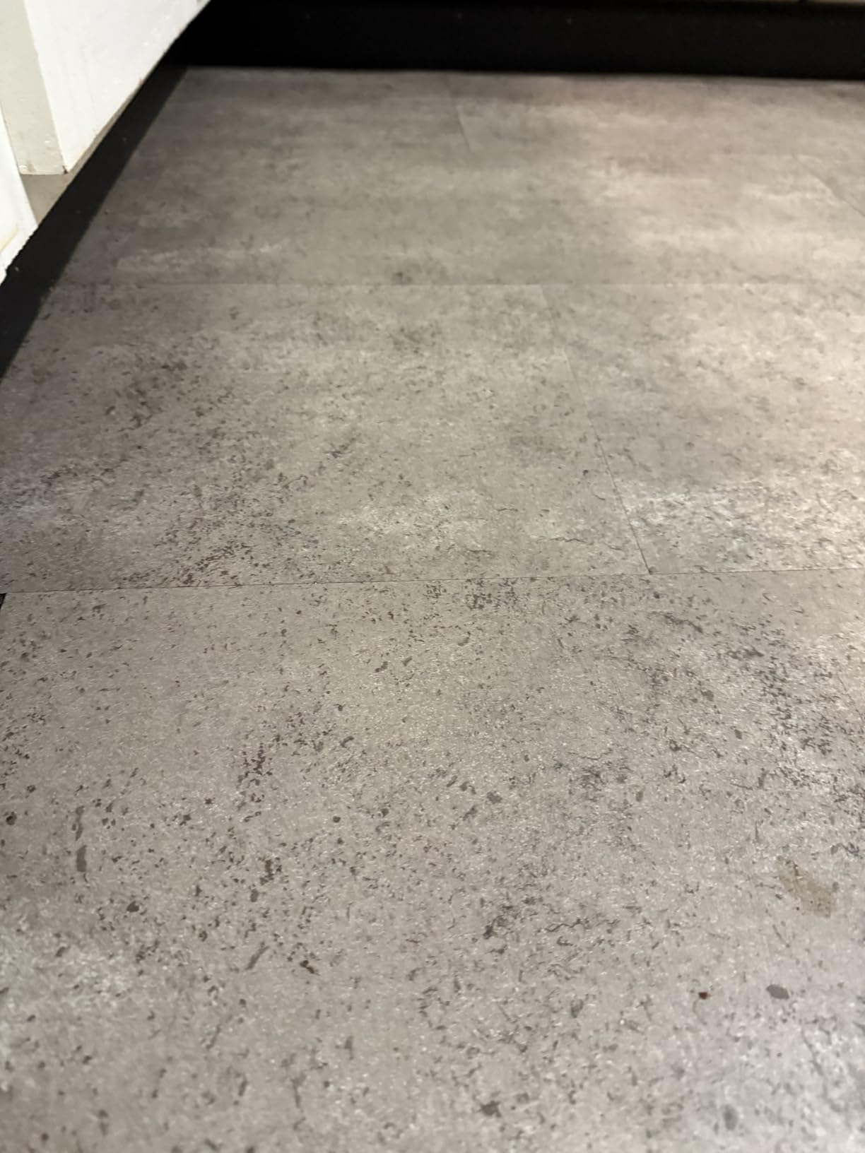 BISSELL Crosswave Pet Pro All in One Wet Dry Vacuum Cleaner and Mop for Hard Floors and Area Rugs, Purple, 2306A - Customer Photo 1