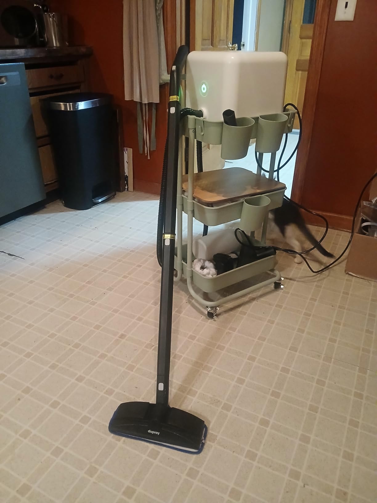 Dupray Neat Steam Cleaner with 17-Piece Kit – Powerful, chemical-free cleaning for floors, cars, tiles, upholstery, kitchen appliances, grout, and more. *Kills 99.9% of Bacteria & Viruses Customer Review Dupray Neat Steam Cleaner with 17-Piece Kit – Powerful, chemical-free cleaning for floors, cars, tiles, upholstery, kitchen appliances, grout, and more. *Kills 99.9% of Bacteria & Viruses - Customer Photo 2