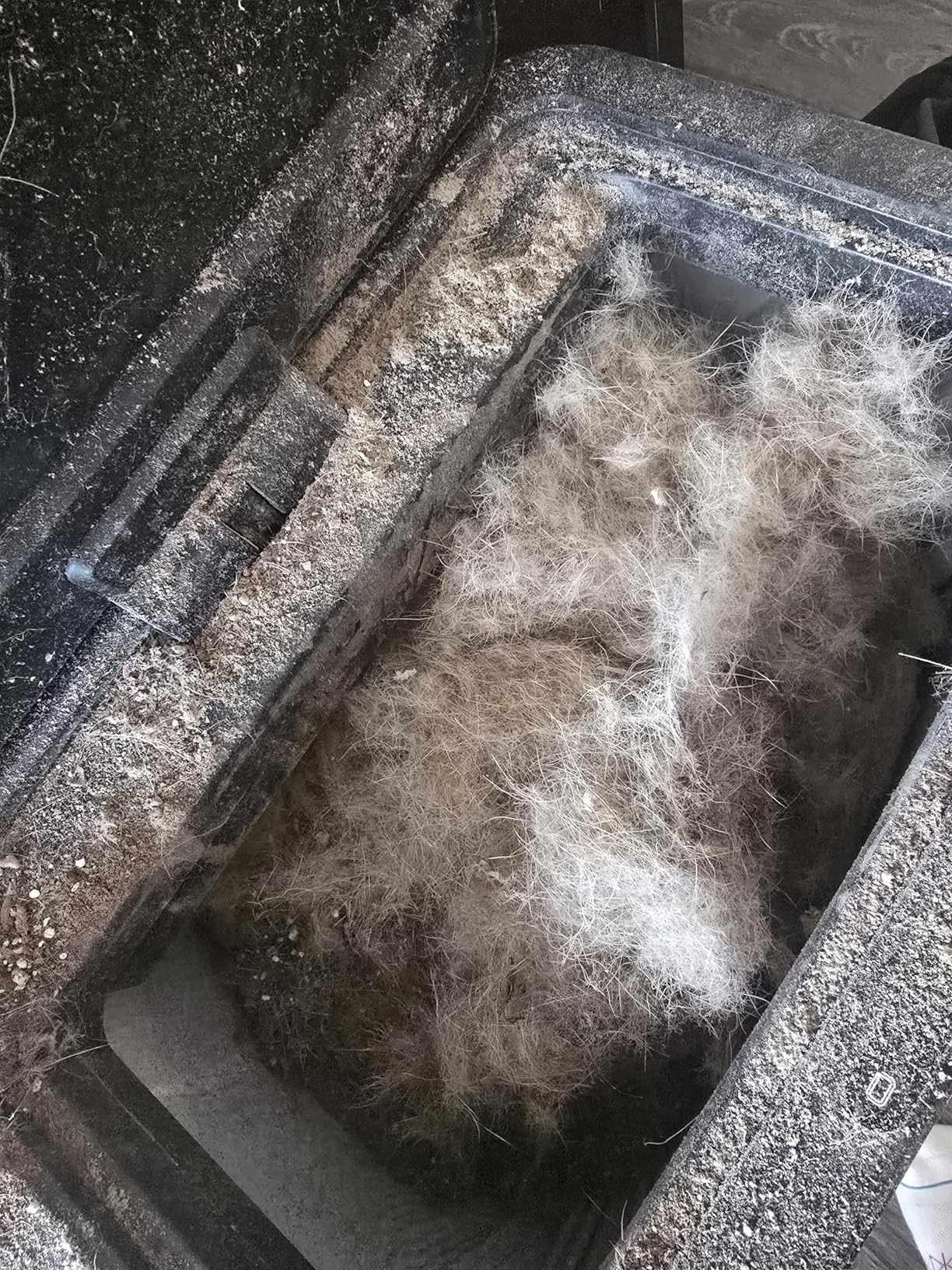 BISSELL 2252 CleanView Swivel Upright Bagless Vacuum with Swivel Steering, Powerful Pet Hair Pick Up, Specialized Pet Tools, Large Capacity Dirt Tank, Easy Empty - Customer Photo 1