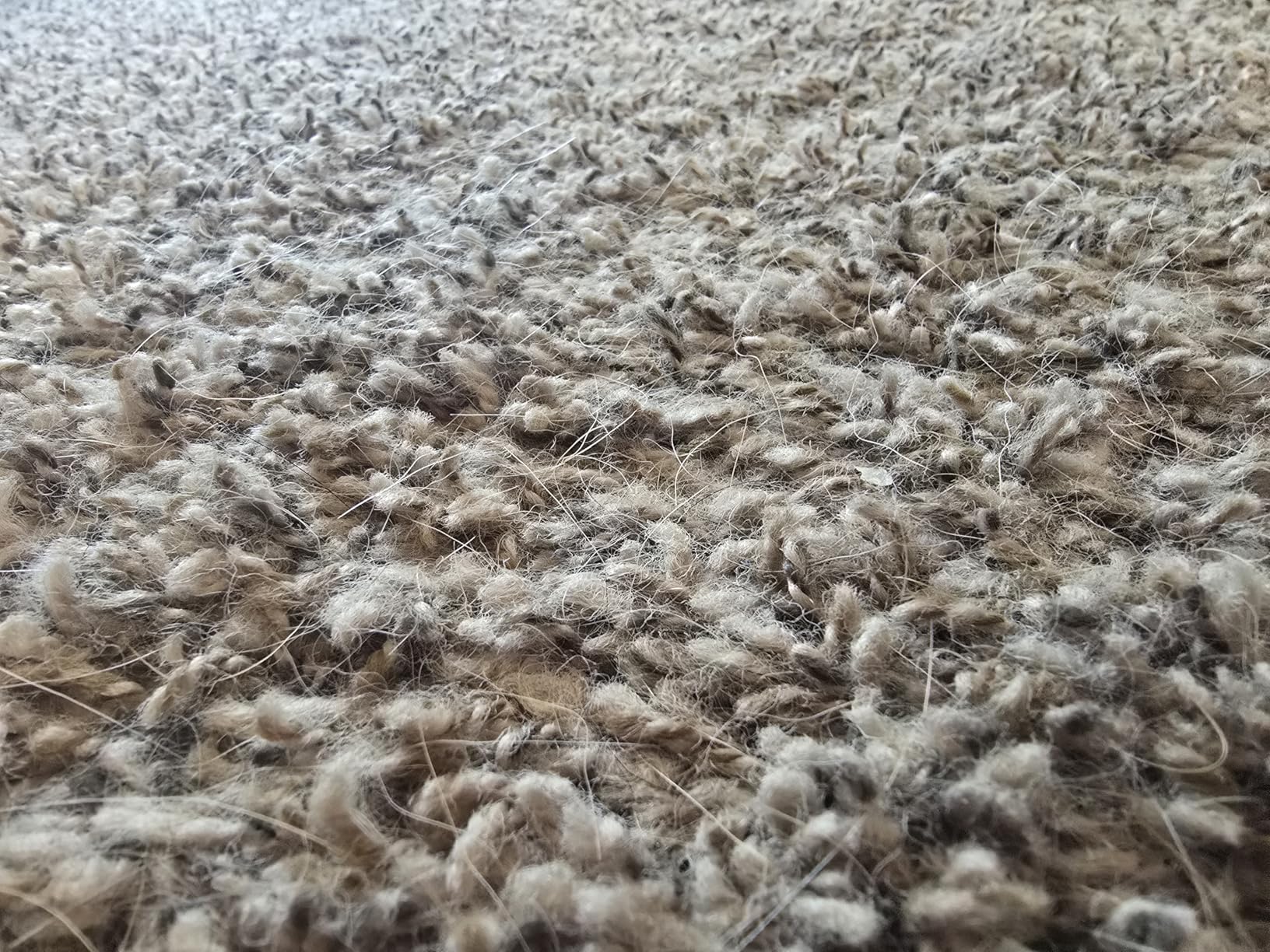 BISSELL 2252 CleanView Swivel Upright Bagless Vacuum with Swivel Steering, Powerful Pet Hair Pick Up, Specialized Pet Tools, Large Capacity Dirt Tank, Easy Empty - Customer Photo 3