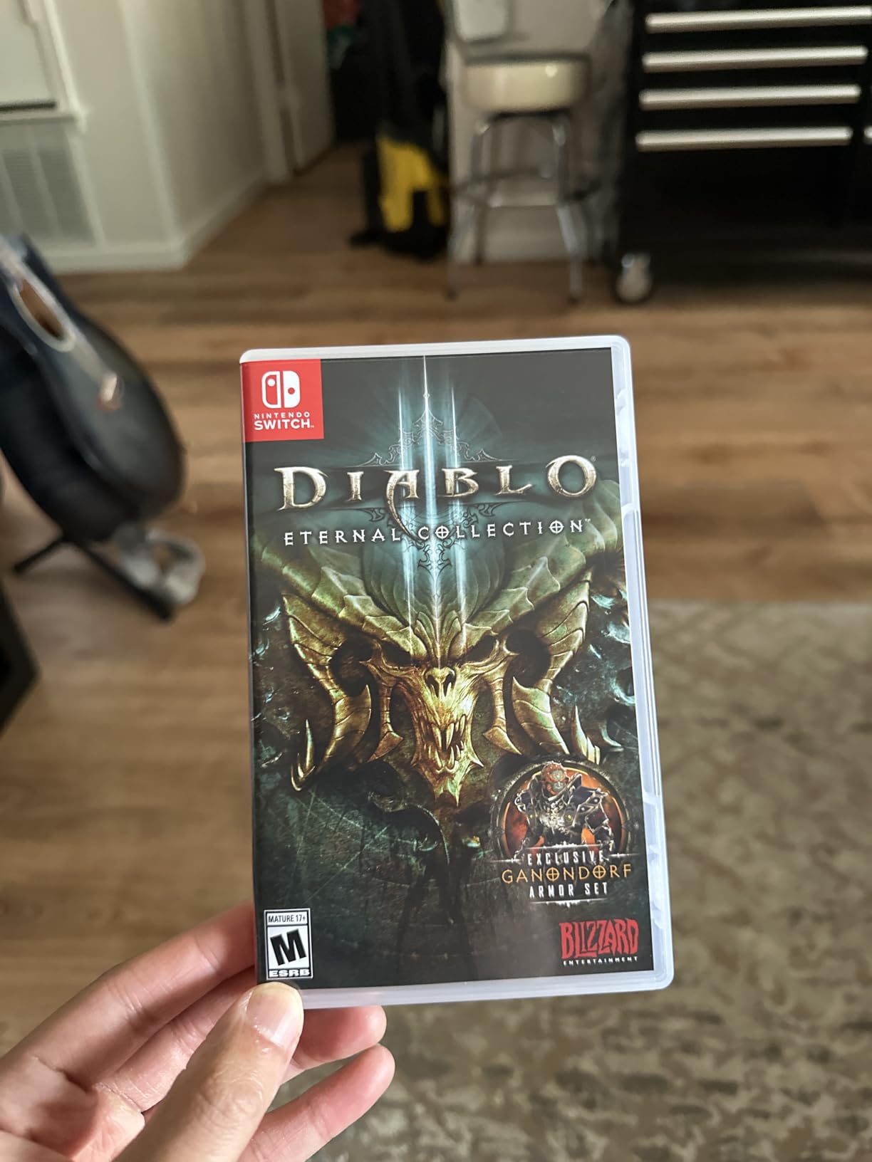 Diablo 3 Eternal Collection - Nintendo Switch - Customer Photo 2