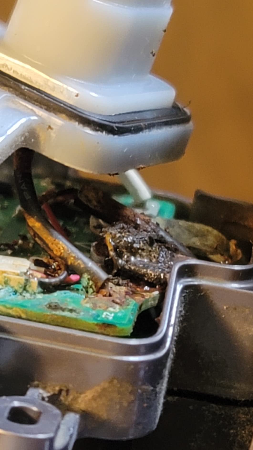 Dyson V11 Animal Cordless Vacuum Cleaner, Purple Customer Review Dyson V11 Animal Cordless Vacuum Cleaner, Purple - Customer Photo 5