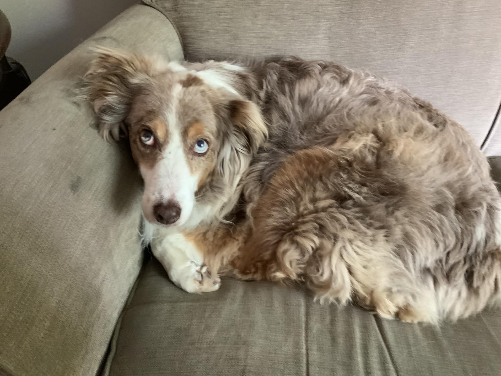 CRAFTSMAN CMXEVBE17250 2.5 Gallon 2.5 Peak HP Wet/Dry Shop Vac, Portable Shop Vacuum Wet and Dry with Filter Bag, Hose and Attachments for Cleaning in the Home Customer Review CRAFTSMAN CMXEVBE17250 2.5 Gallon 2.5 Peak HP Wet/Dry Shop Vac, Portable Shop Vacuum Wet and Dry with Filter Bag, Hose and Attachments for Cleaning in the Home - Customer Photo 1