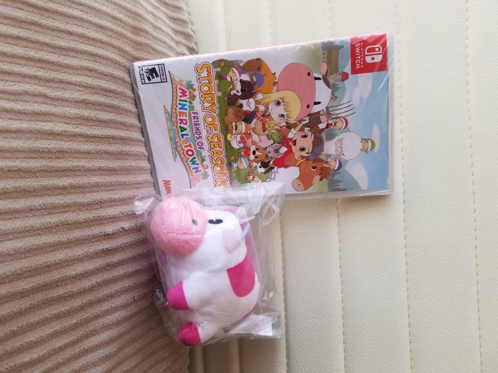 Story of Seasons: Friends of Mineral Town - Nintendo Switch - Customer Photo 1