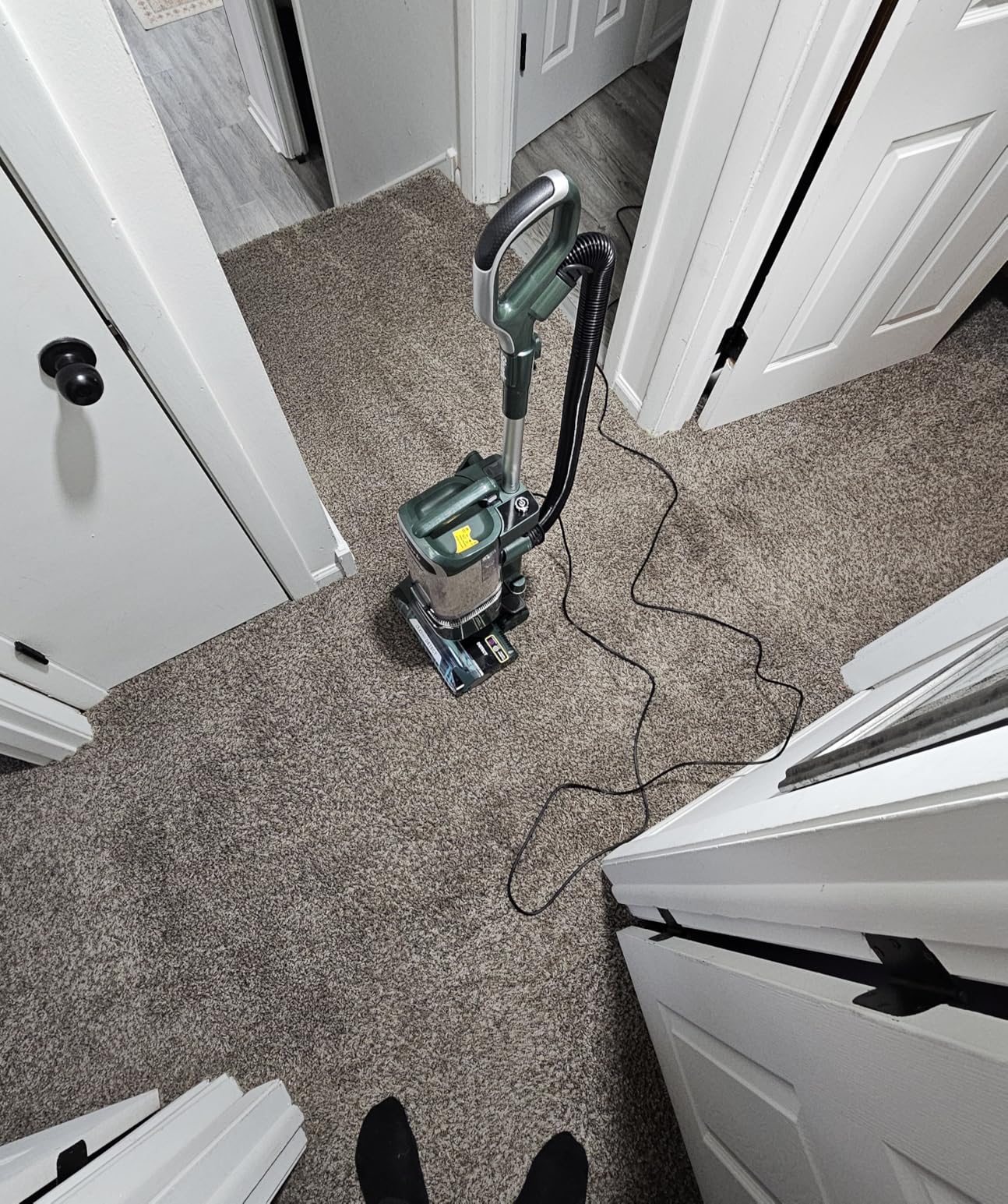 Shark | Upright Vacuum Cleaner for Home | Rotator Lift-Away | No Hair Wrap | HEPA Filter | Lightweight Bagless Vacuum for Pet Hair | LED Headlights For Carpets & Hardwood Floors | Silver | LA502 - Customer Photo 2