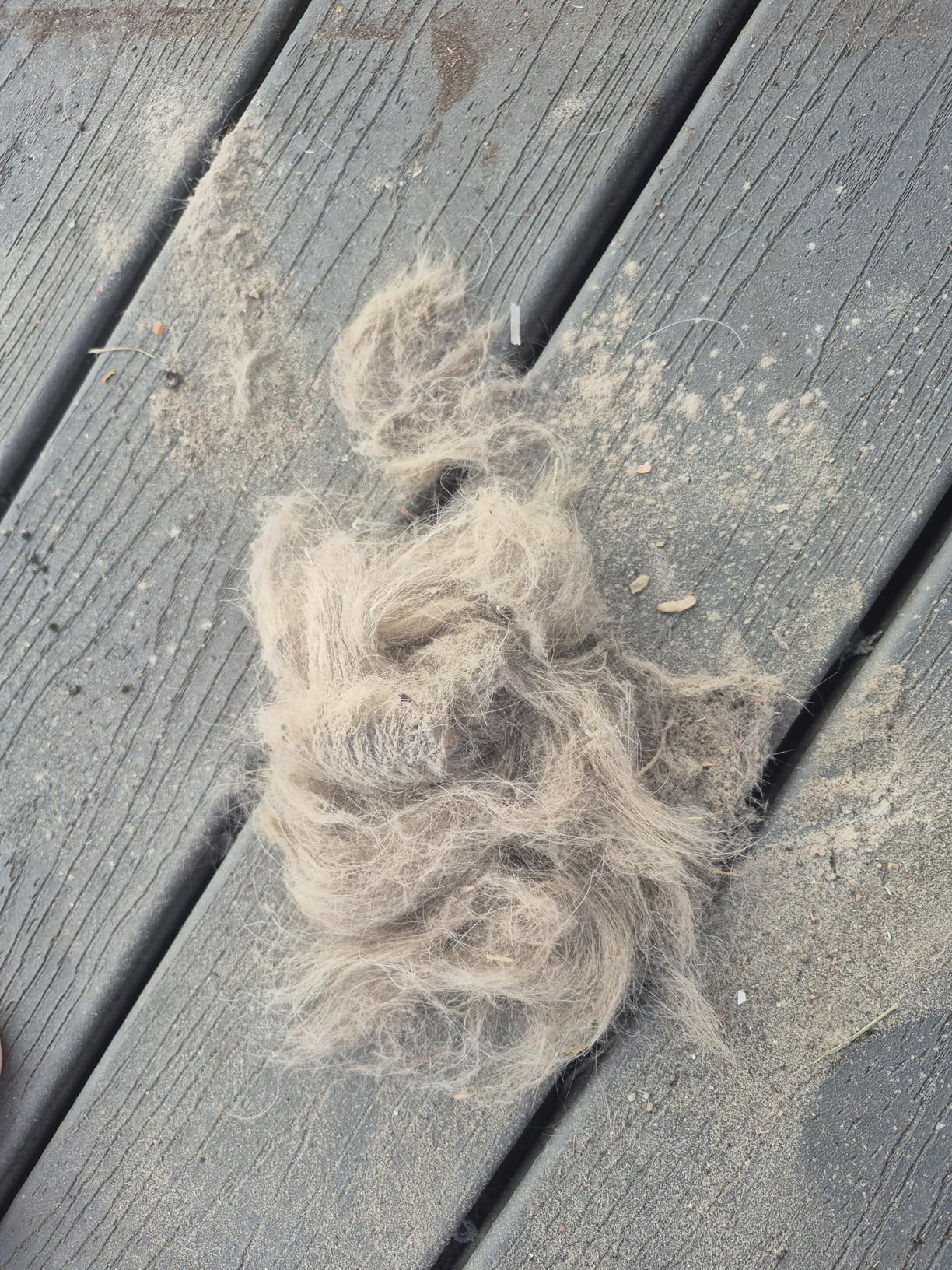 Shark Cordless Vacuum Cleaner, HEPA Filter, Lightweight, Portable, Rechargeable, Pet Hair Pickup, Removable Handheld, Crevice, Upholstery & Dusting Brush Included, 40-min runtime, Red, IZ362H - Customer Photo 1