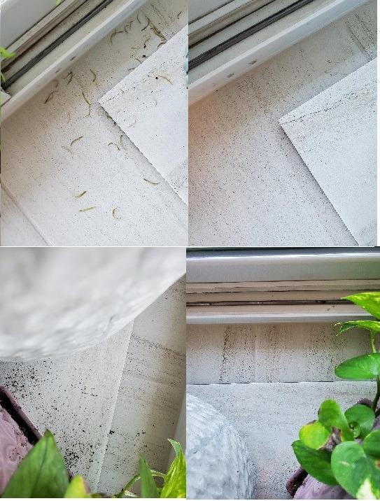 Vacmaster Corded Stick Vacuum Cleaner 2 in 1 Ultra-Lightweight 14Kpa Power Suction Handheld Vacuum Cleaner with Washable HEPA Filter for Home, Car, Pet Hair, Carpet, Hard Floor - Customer Photo 1