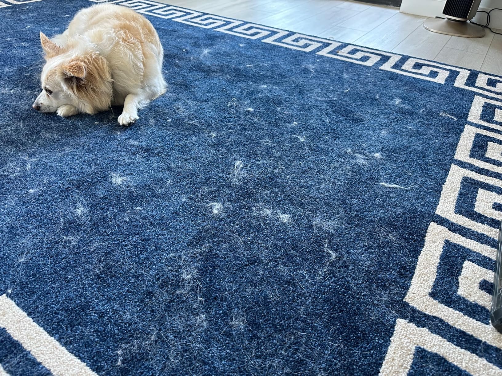 Kenmore Intuition Bagged Upright Vacuum Lift-Up Carpet Cleaner 2-Motor Power Suction with HEPA Filter, 3-in-1 Combination Tool, HandiMate for Floor, Pet Hair, 14pounds, Green - Customer Photo 2