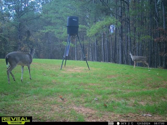 The Original Slinky Walking Spring Toy, 3-Pack Metal Slinky, Fidget Toys, Party Favors and Gifts, Kids Toys for Ages 5 Up, Amazon Exclusive by Just Play Customer Review The Original Slinky Walking Spring Toy, 3-Pack Metal Slinky, Fidget Toys, Party Favors and Gifts, Kids Toys for Ages 5 Up, Amazon Exclusive by Just Play - Customer Photo 2