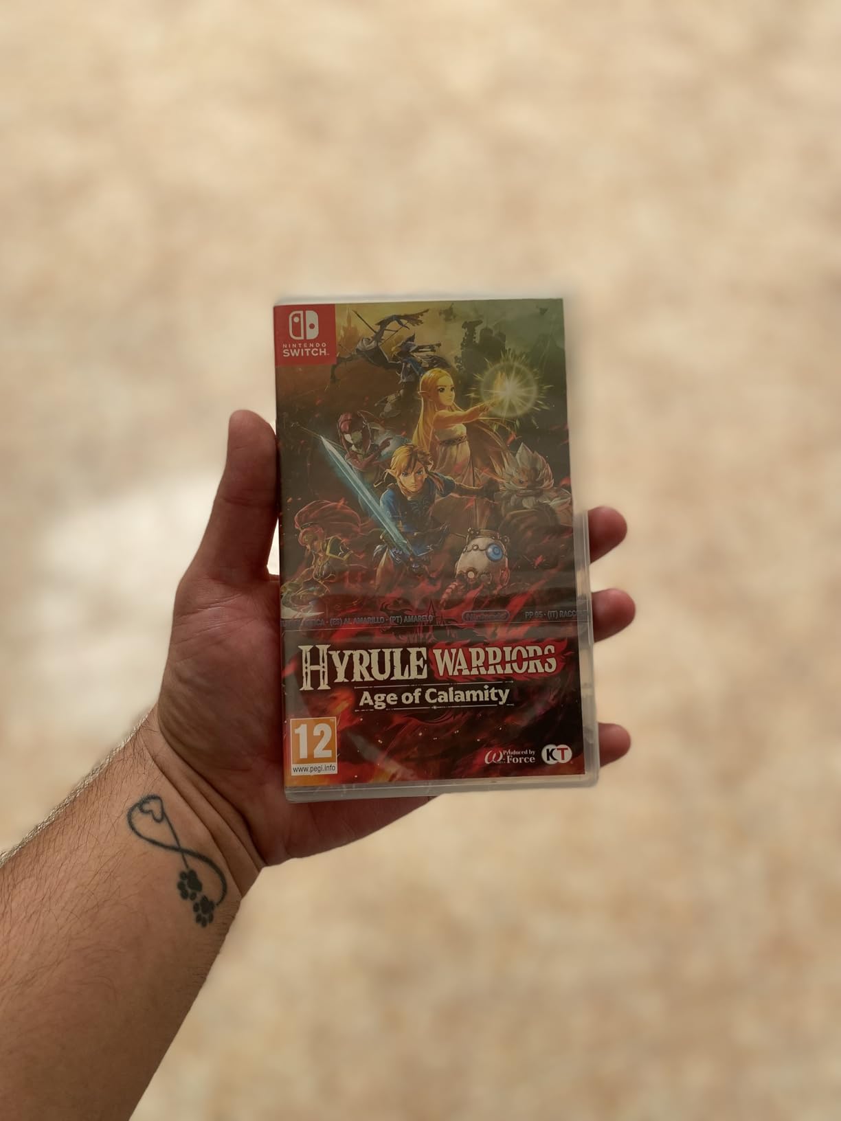 Hyrule Warriors: Age of Calamity (Nintendo Switch) - Customer Photo 1