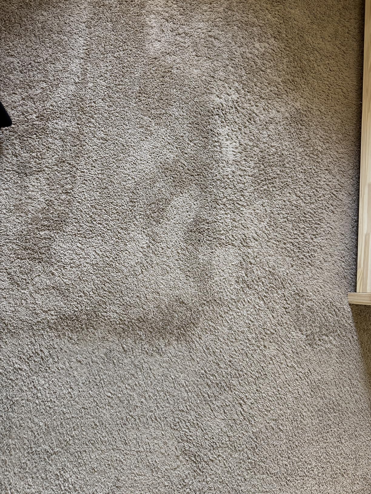 Eureka Corded Stick Vacuum Cleaner for Home Pet Hair, Lightweight Stick Vacuum Cleaner with Powerful Suction for Carpet Tile and Hard Floor, Aqua Blue, 3-in-1 Handheld Vac NES100 Customer Review Eureka Corded Stick Vacuum Cleaner for Home Pet Hair, Lightweight Stick Vacuum Cleaner with Powerful Suction for Carpet Tile and Hard Floor, Aqua Blue, 3-in-1 Handheld Vac NES100 - Customer Photo 2