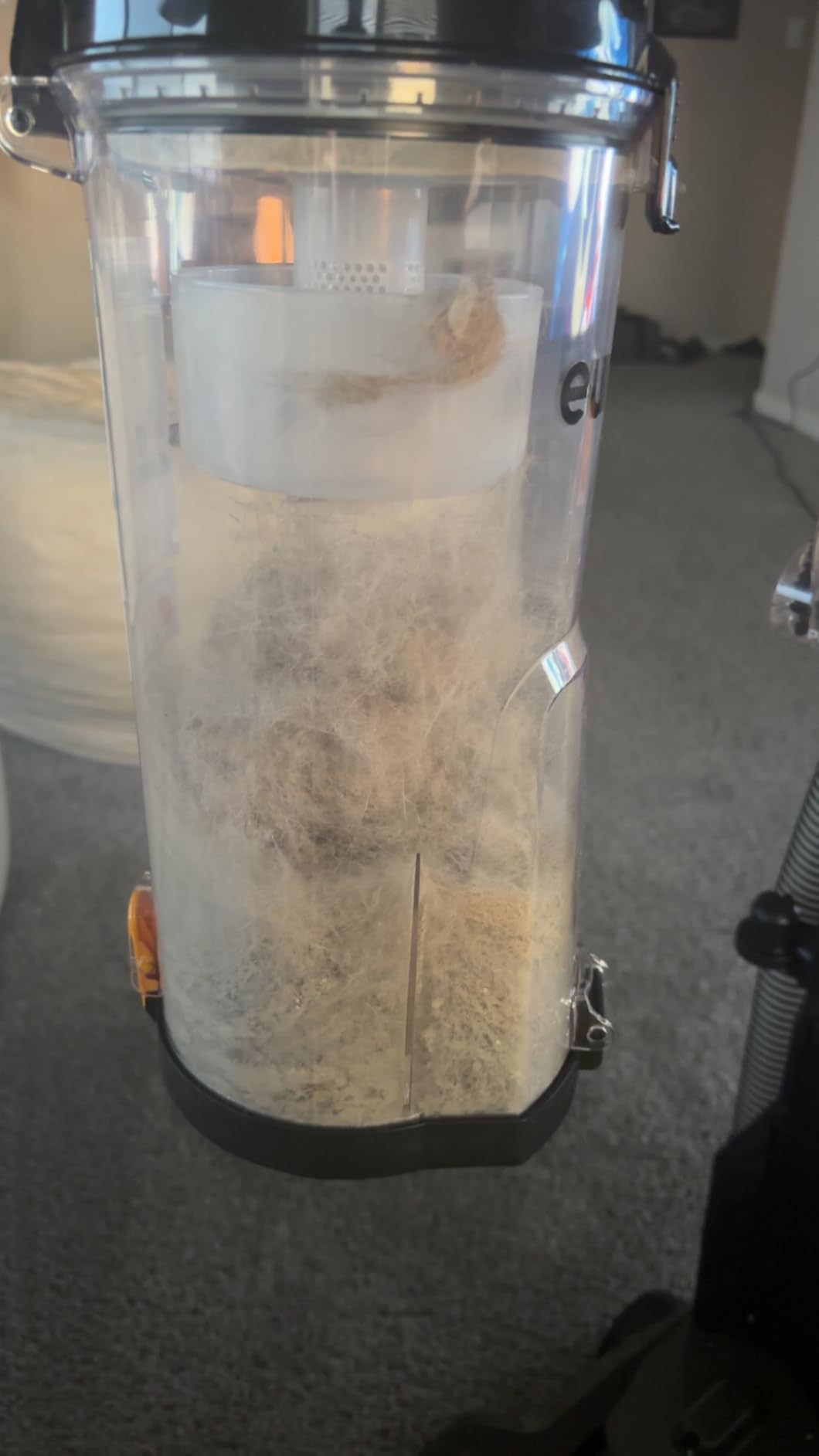 Eureka PowerSpeed Lightweight Upright Vacuum Cleaner for Carpet and Hard Floor, Powerful Bagless Upright Vacuum Cleaner for Home Pets, NEU181A, Blue - Customer Photo 2