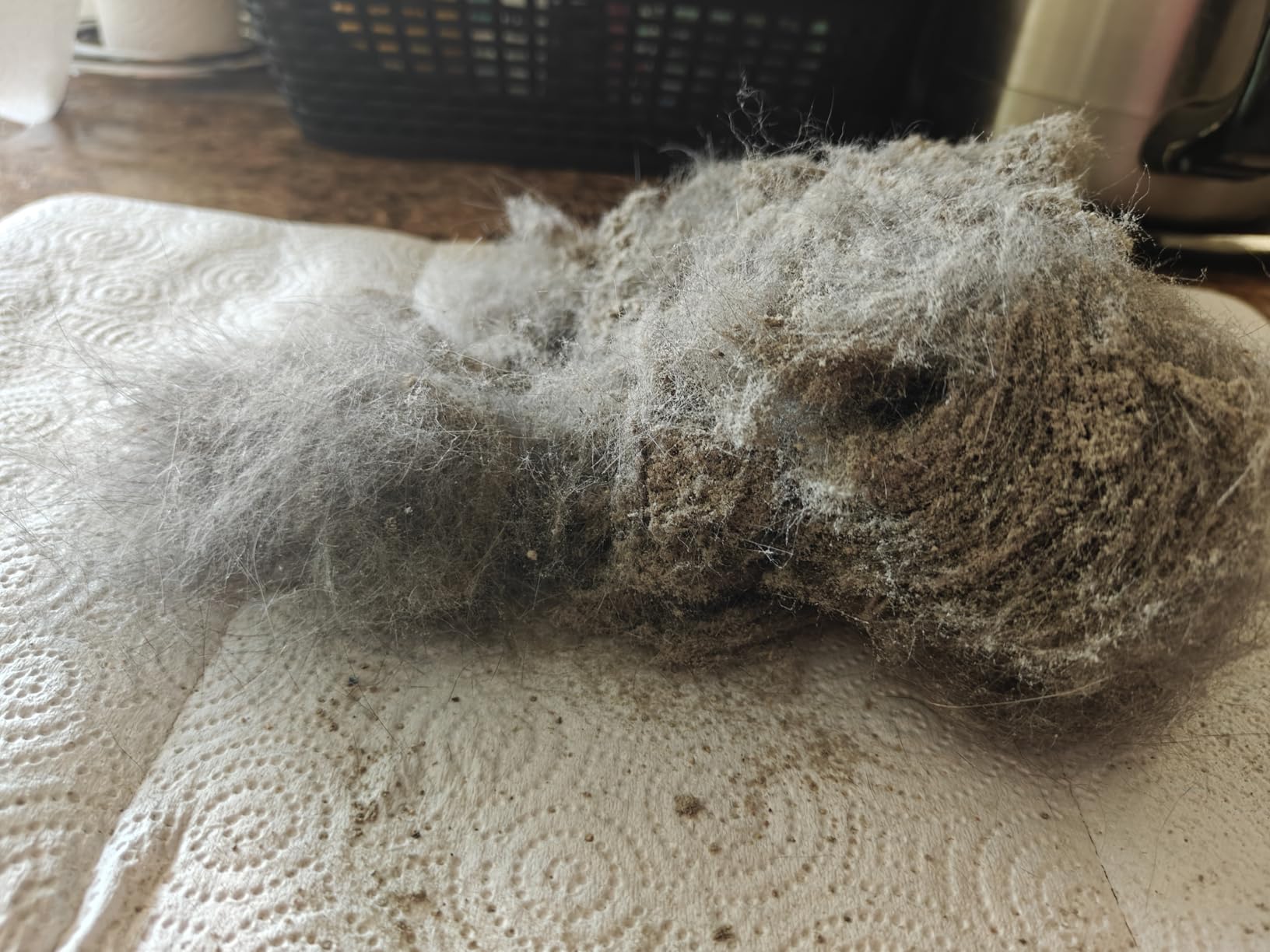 Eureka NEU10AE5 Powerful Bagless Upright Vacuum Cleaner Carpet and Floor, AirSpeed Ultra-Lightweight Vacuum Cleaner, w/ Replacement Filter, Blue - Customer Photo 5