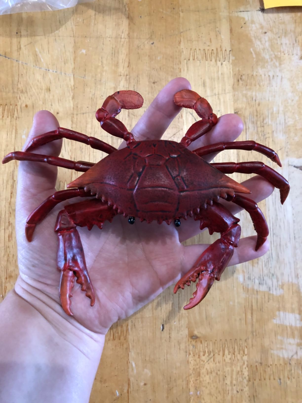 Gemini&Genius Crabs Animal Figures Marine Toys Realistic Sea Animal Action Figures Ocean Model Toy Stocking Stuffers, Role Play, Swim, Bath Toys for Kids - Customer Photo 1