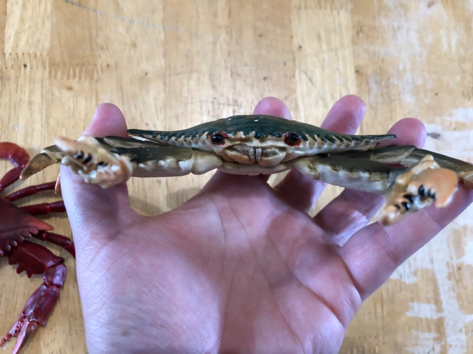 Gemini&Genius Crabs Animal Figures Marine Toys Realistic Sea Animal Action Figures Ocean Model Toy Stocking Stuffers, Role Play, Swim, Bath Toys for Kids - Customer Photo 2