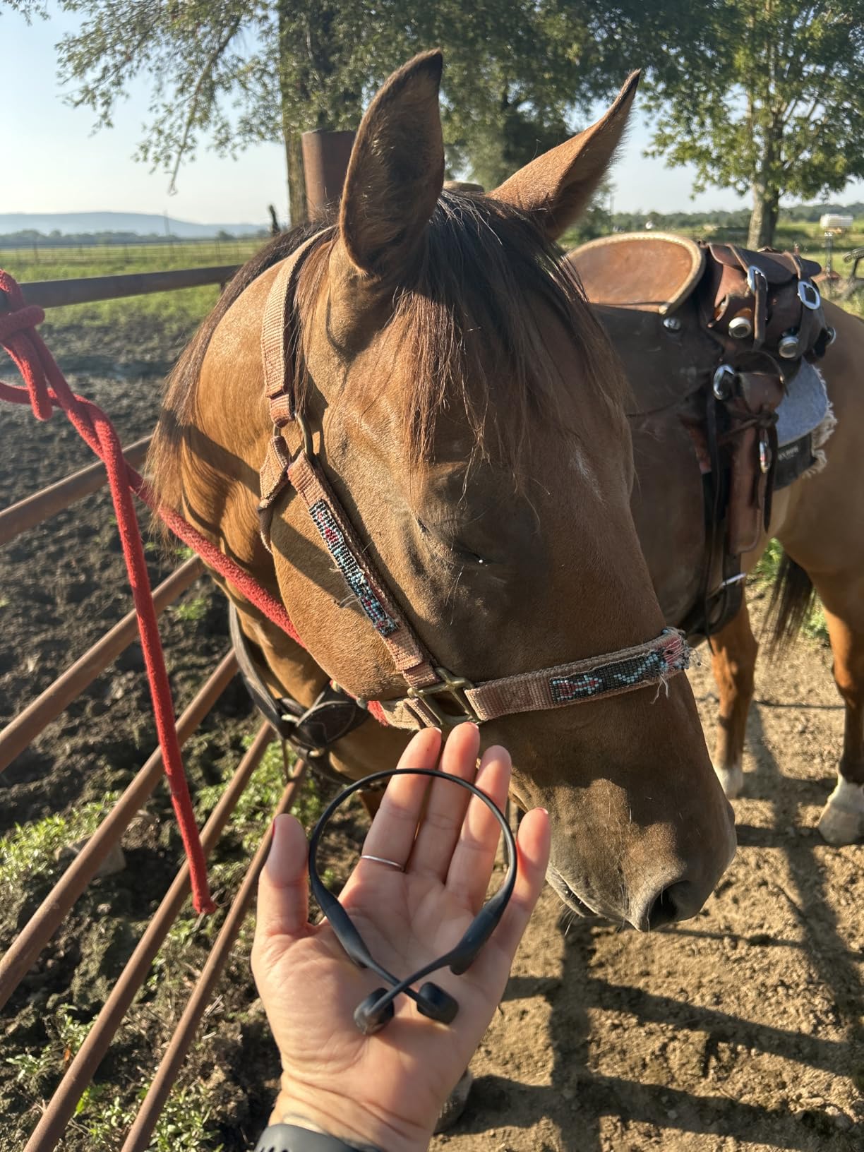 SHOKZ OpenRun - Open-Ear Bluetooth Bone Conduction Sport Headphones, Sweat Resistant Wireless Earphones for Workouts and Running, Built-in Mic, with Hair Band, Black - Customer Photo 1