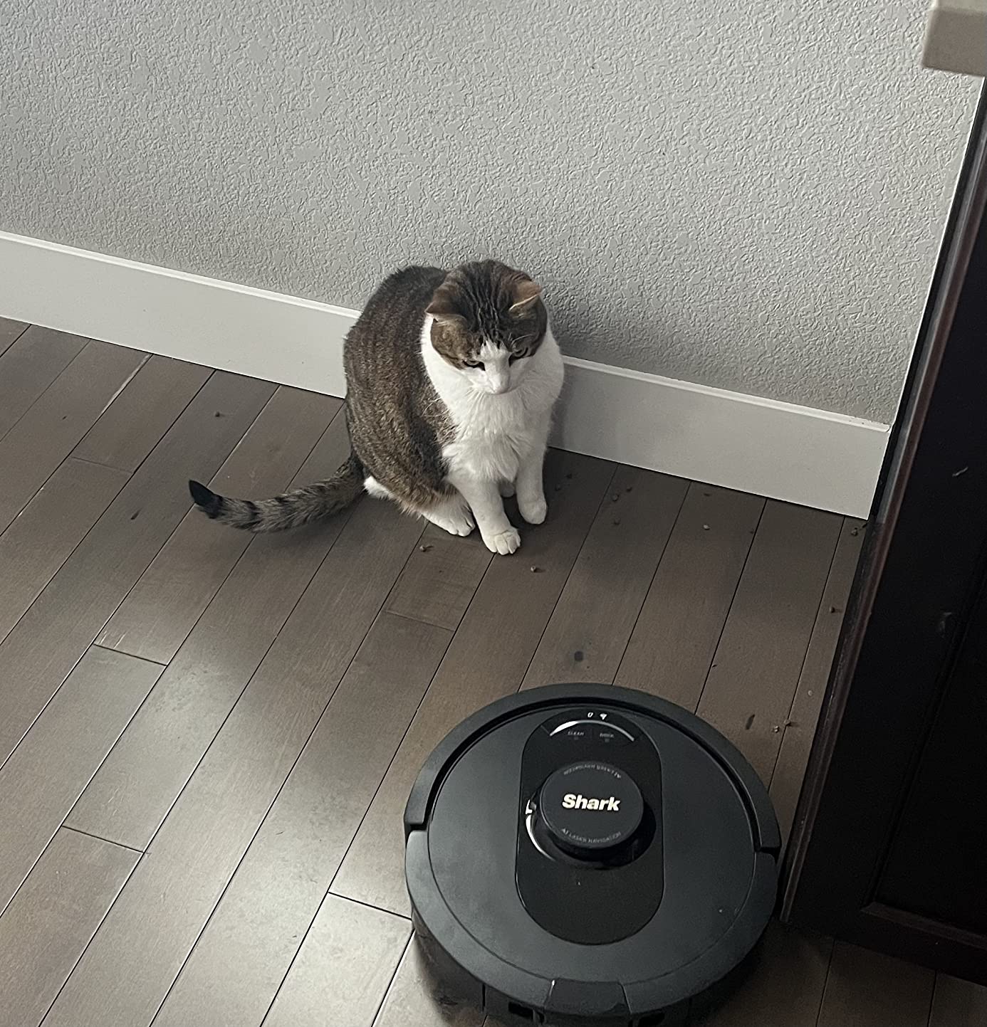 Shark AV2501S AI Ultra Robot Vacuum, with Matrix Clean, Home Mapping, 30-Day Capacity HEPA Bagless Self Empty Base, Perfect for Pet Hair, Wifi, Dark Grey - Customer Photo 2