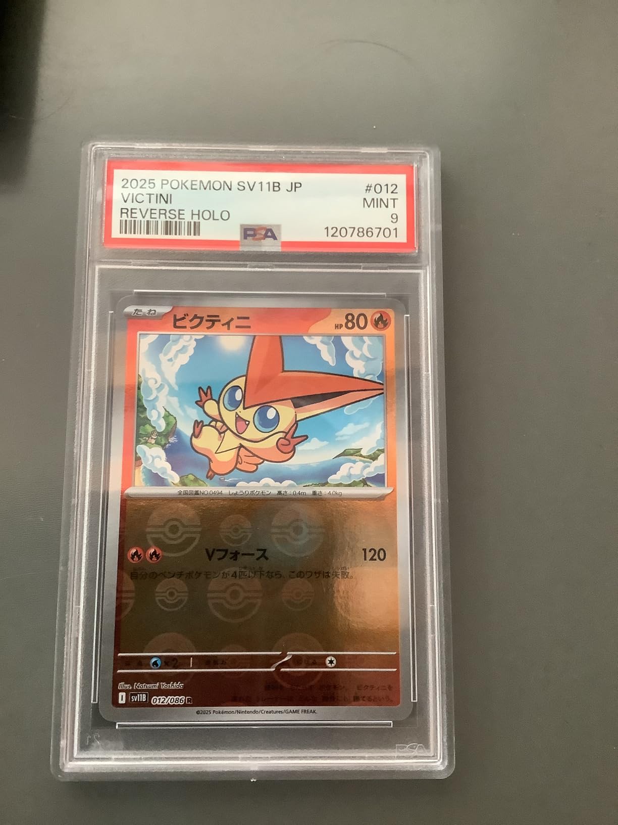 One Random PSA Graded and Authenticated Encased Pokemon Card (Perfect for Display) - Customer Photo 3