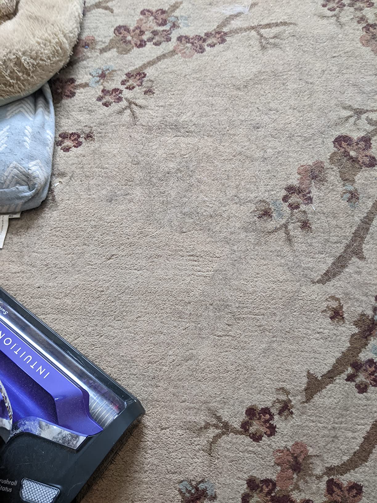 Kenmore BU4018 Intuition Bagged Upright Vacuum Lift-Up Carpet Cleaner 2-Motor Power Suction with HEPA Filter,3-in-1 Combination, Upholstery Tool for Hardwood Floor, Pet Hair, Purple - Customer Photo 2