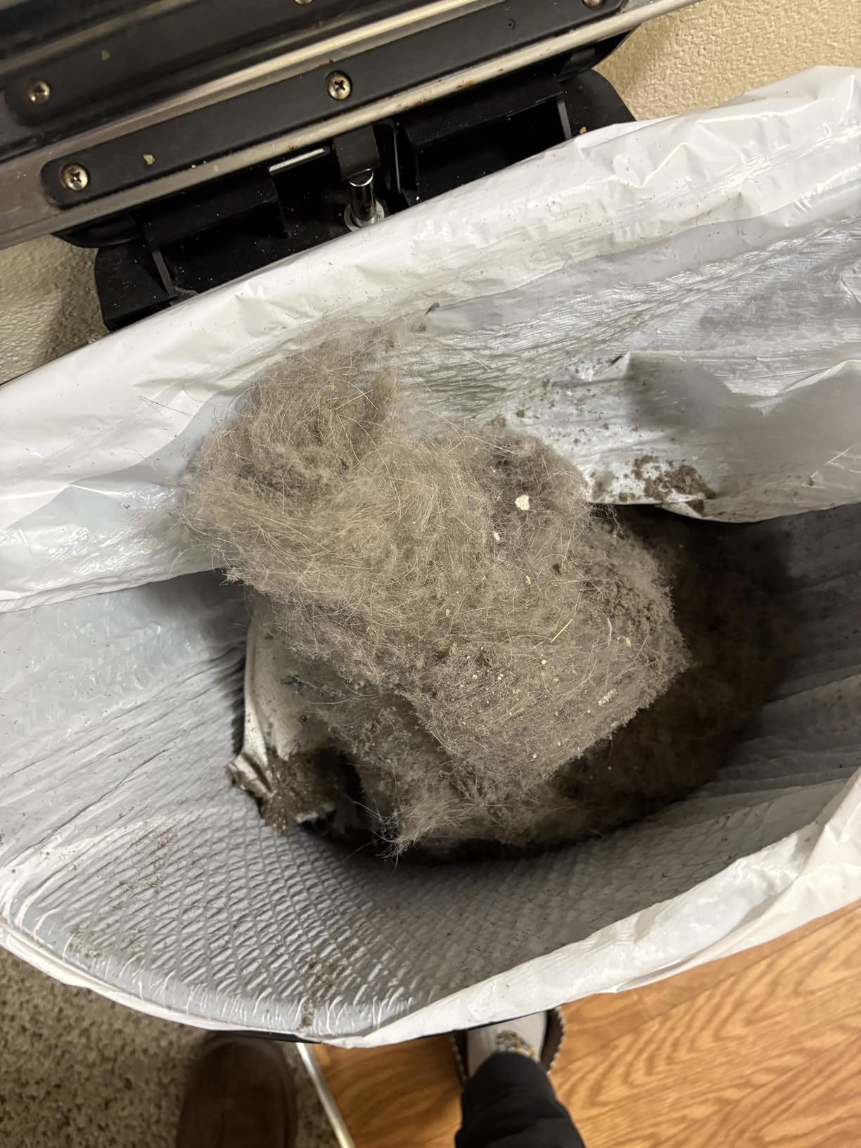 EUREKA PowerSpeed Lightweight Powerful Upright Vacuum Cleaner for Carpet and Hard Floor, Pet Turbo, Black,Yellow Customer Review EUREKA PowerSpeed Lightweight Powerful Upright Vacuum Cleaner for Carpet and Hard Floor, Pet Turbo, Black,Yellow - Customer Photo 4