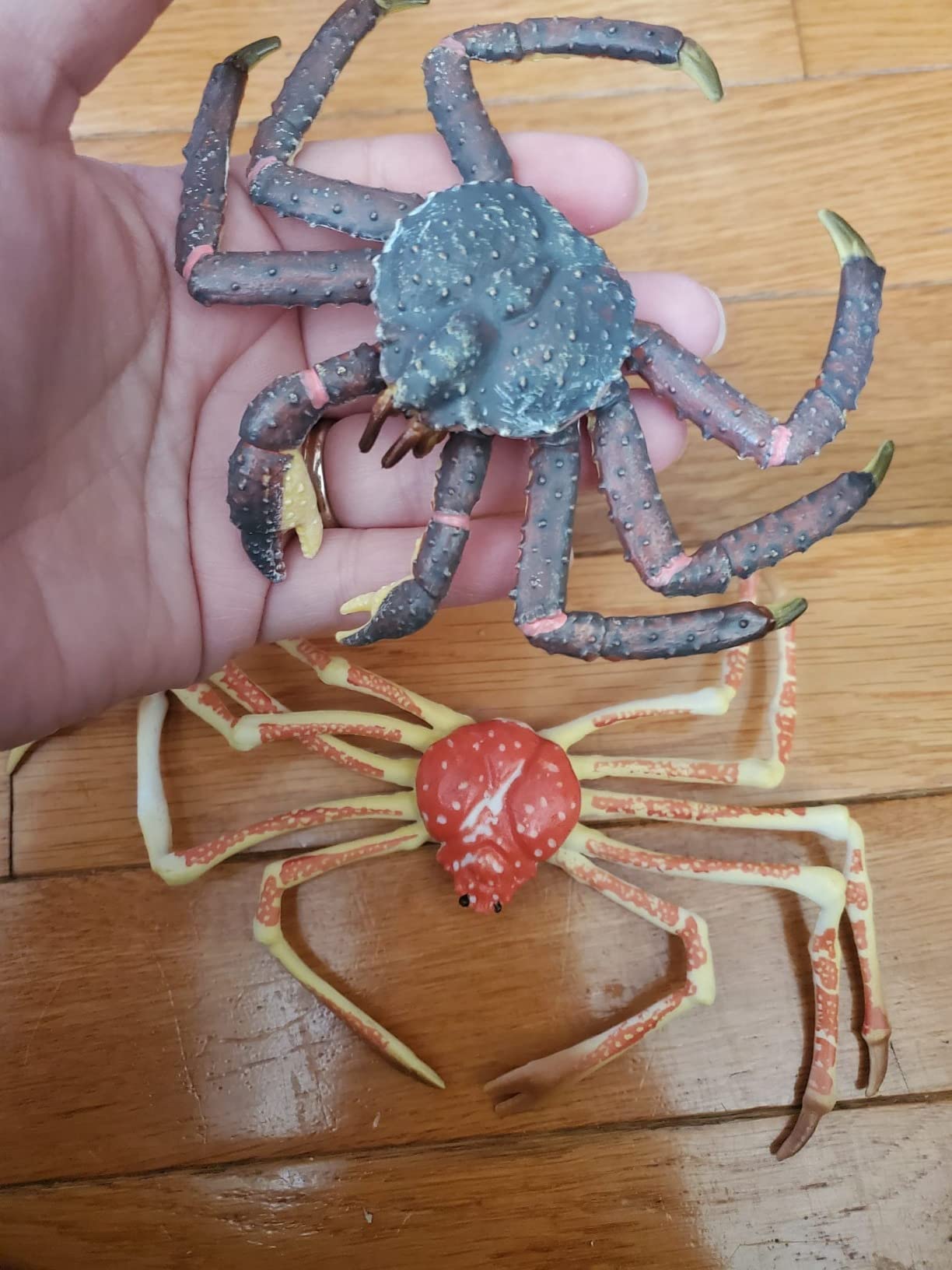 Gemini&Genius King Crab and Spider Crab Toys Set, Marine Animals Toys Sea Animal Action Figures Gift Great for Educational, Cake Topper, Swim, Bath Toys, Stocking Stuffers for Kids - Customer Photo 1