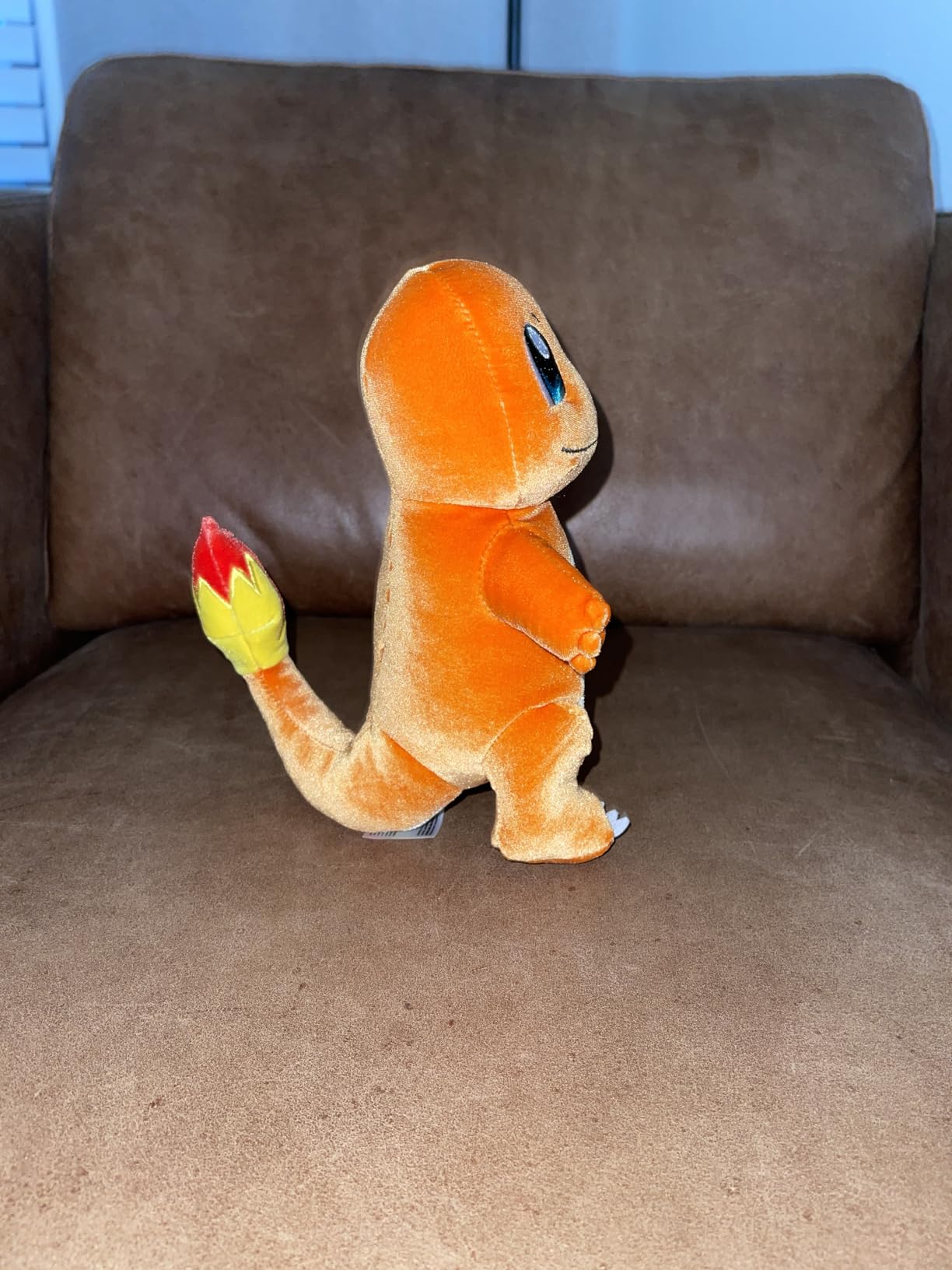 Pokemon Squirtle Select Velvet Plush - 8-Inch Squirtle Plush with Unique Velvet Fabric and Authentic Details - Customer Photo 2