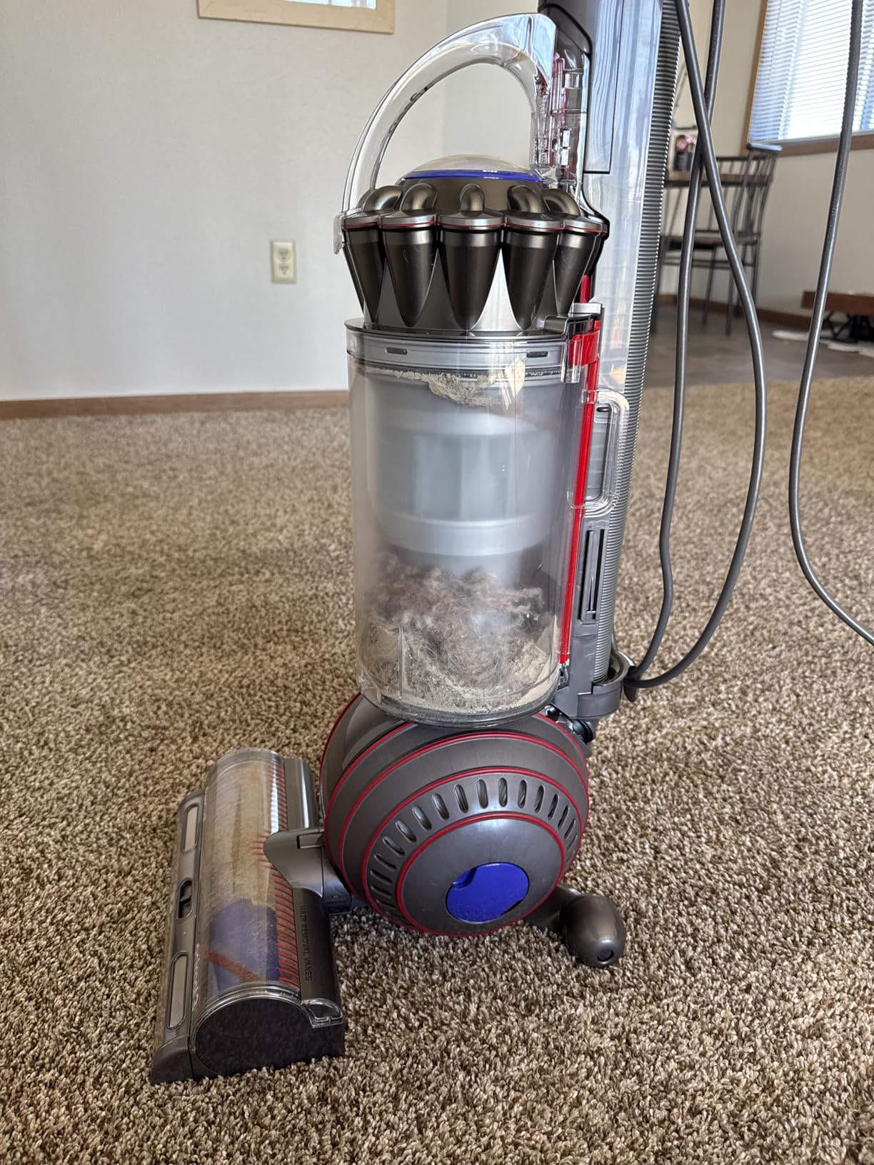 Dyson Ball Animal 3 Upright Vacuum, Corded, 290AW, De-tangling Motorbar Cleaner Head for All Floors, 3 Suction Modes - Customer Photo 4
