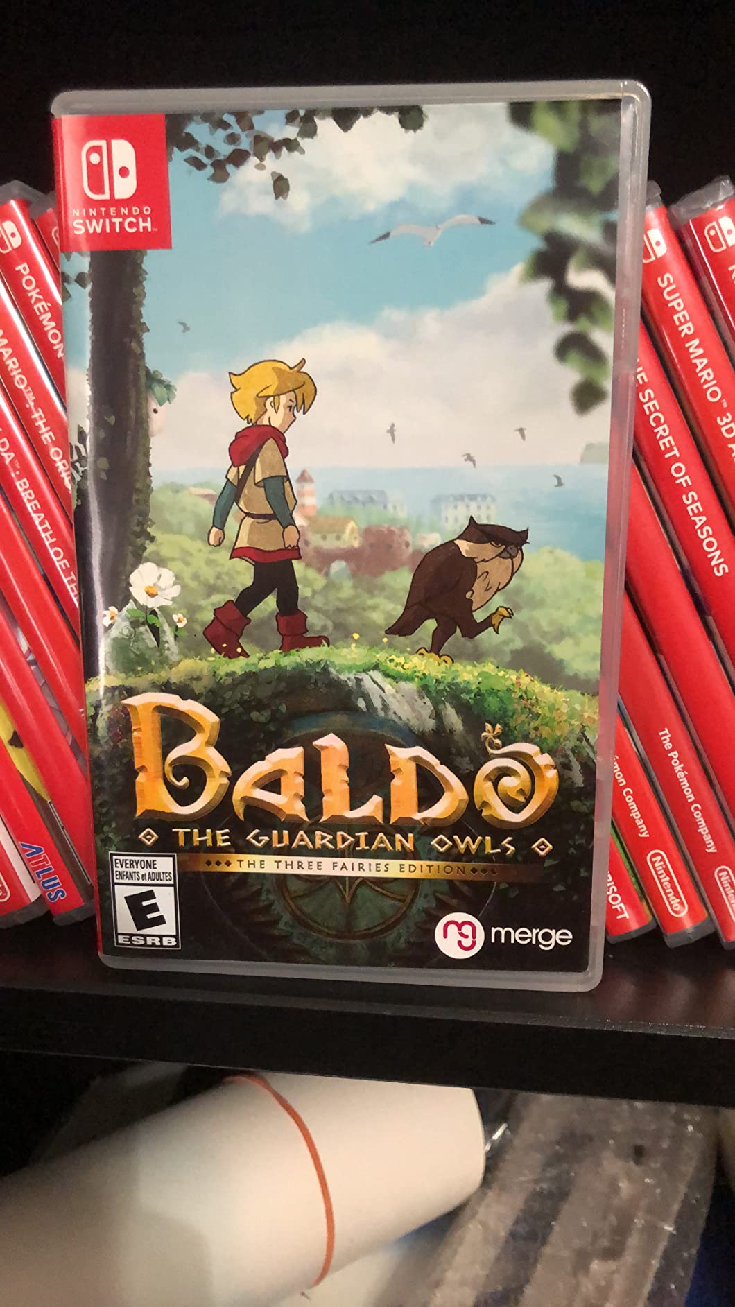 Baldo: The Guardian Owls : Three Fairies Edition for Nintendo Switch - Customer Photo 2