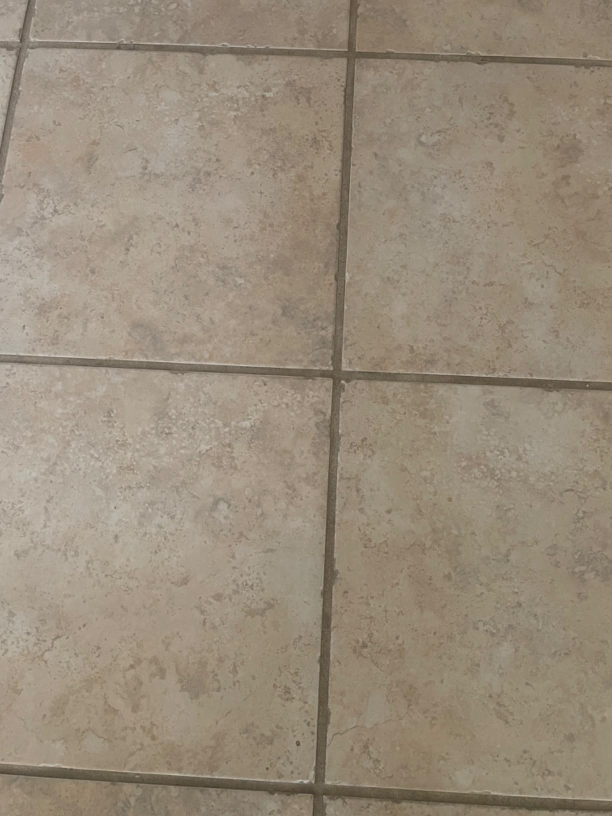 BISSELL® CrossWave® HydroSteam™ Wet Dry Vac, Multi-Purpose Vacuum, Wash, and Steam, Sanitize Formula Included, 35151 Customer Review BISSELL® CrossWave® HydroSteam™ Wet Dry Vac, Multi-Purpose Vacuum, Wash, and Steam, Sanitize Formula Included, 35151 - Customer Photo 2