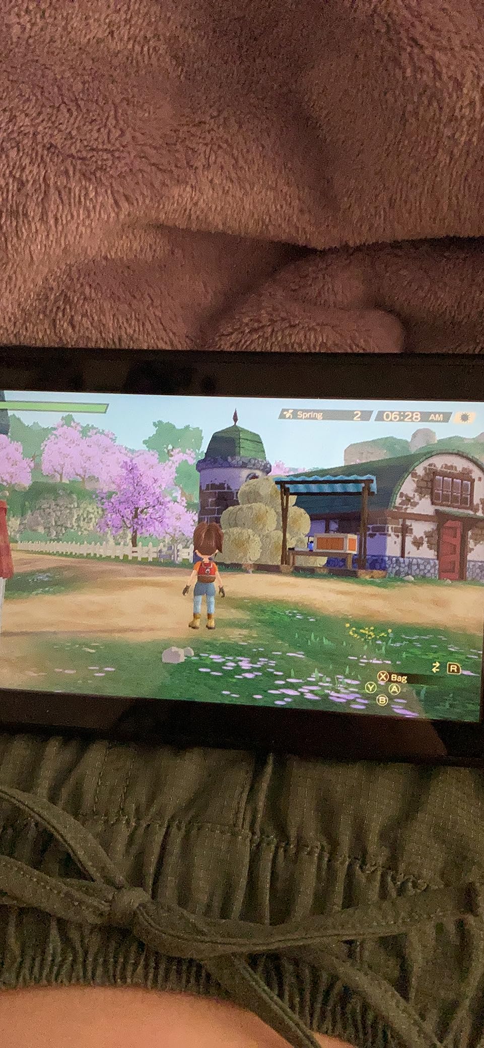Story of Seasons: A Wonderful Life - Nintendo Switch - Customer Photo 1