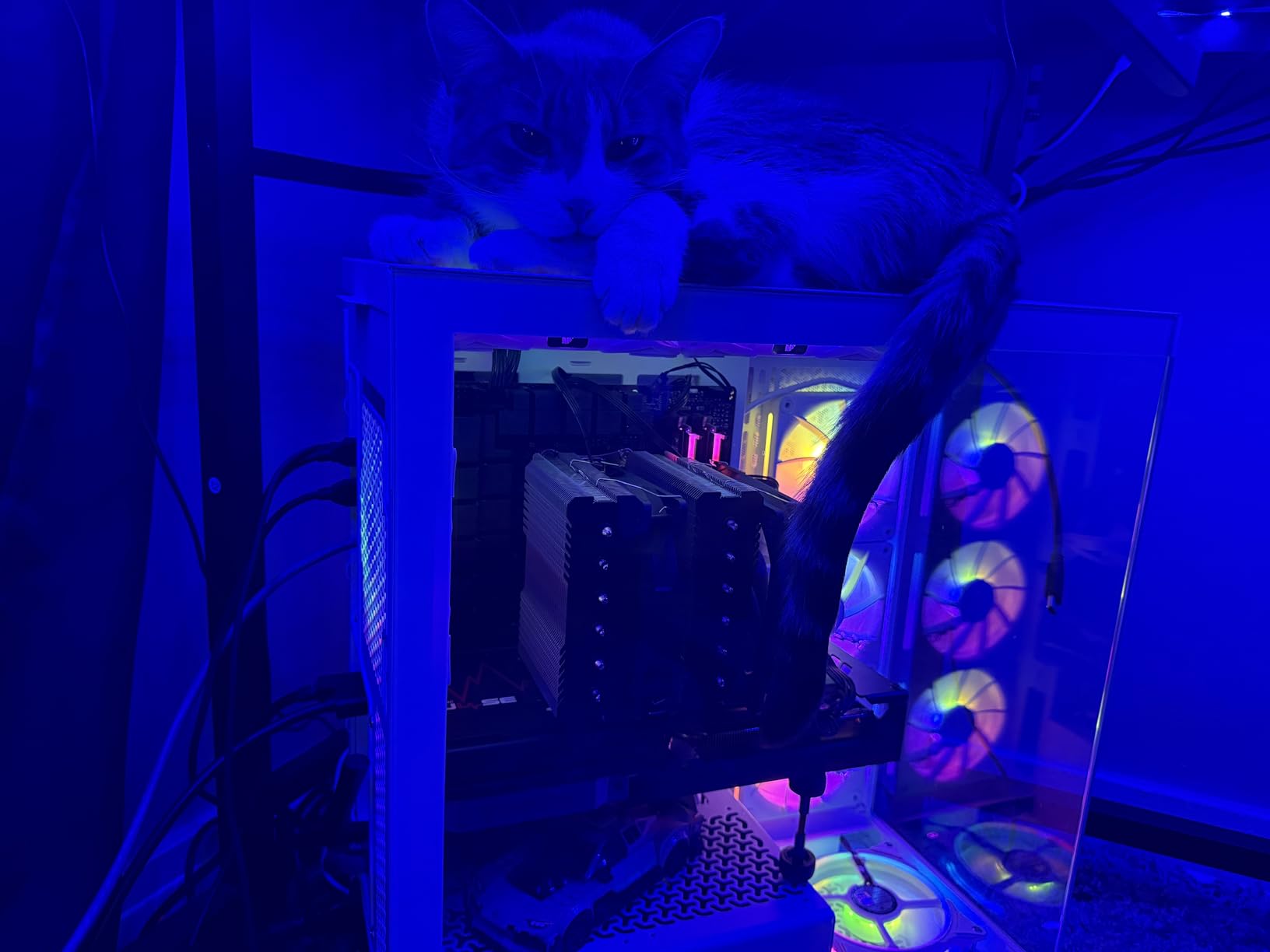 Sapphire 11323-02-20G Pulse AMD Radeon RX 7900 XT Gaming Graphics Card with 20GB GDDR6, AMD RDNA 3 - Customer Photo 1