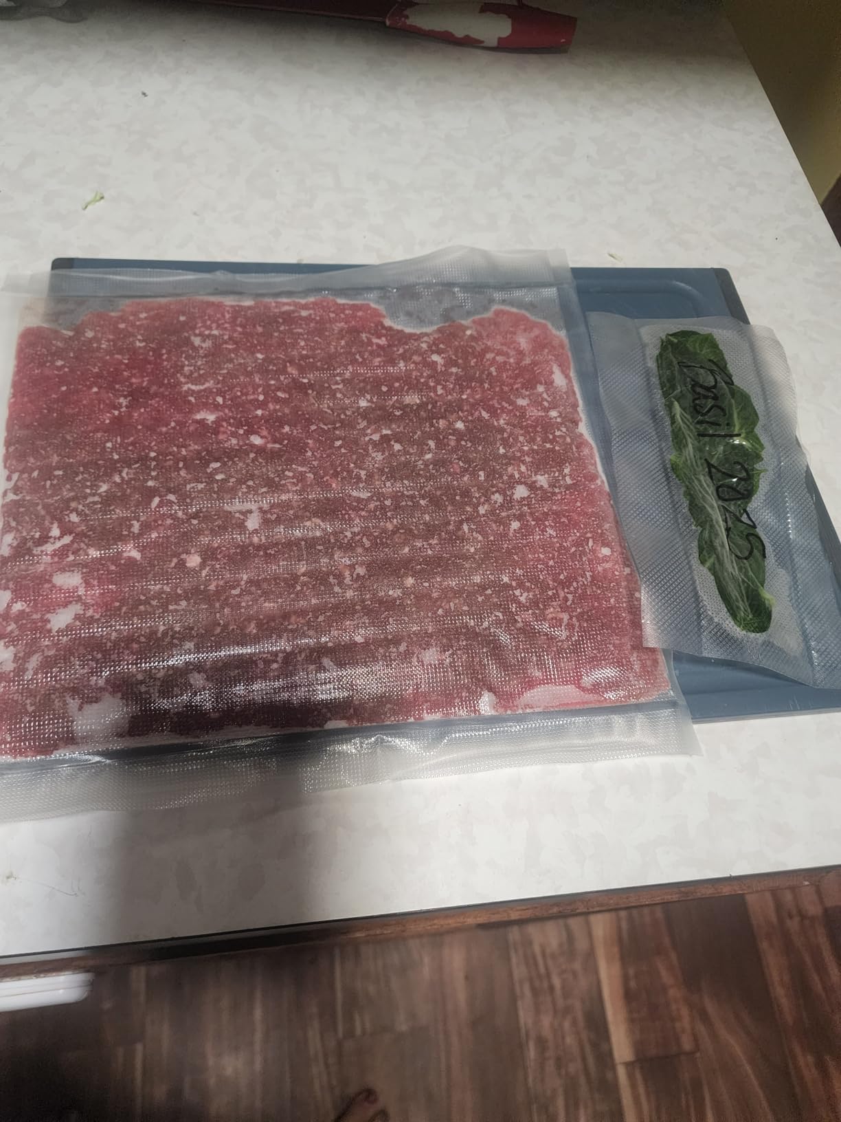 Vacuum Sealer Machine Powerful 90Kpa Precision 6-in-1 Compact Food Preservation System with Cutter, 2 Bag Rolls & 5 Pre-cut Bags, Widened 12mm Sealing Strip, Dry&Moist Modes (Silver) - Customer Photo 2