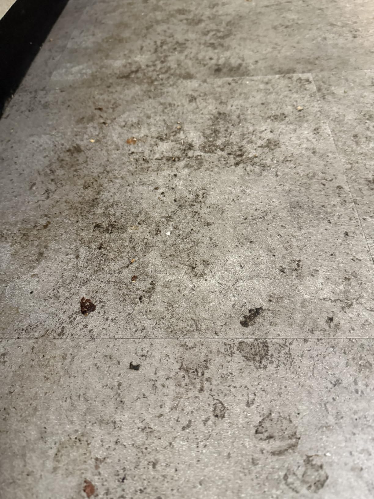 BISSELL Crosswave Turbo Vacuum Mop All in One Wet and Dry Vac Combo Hard Floor & Area Rug Cleaner, 3888A - Customer Photo 1